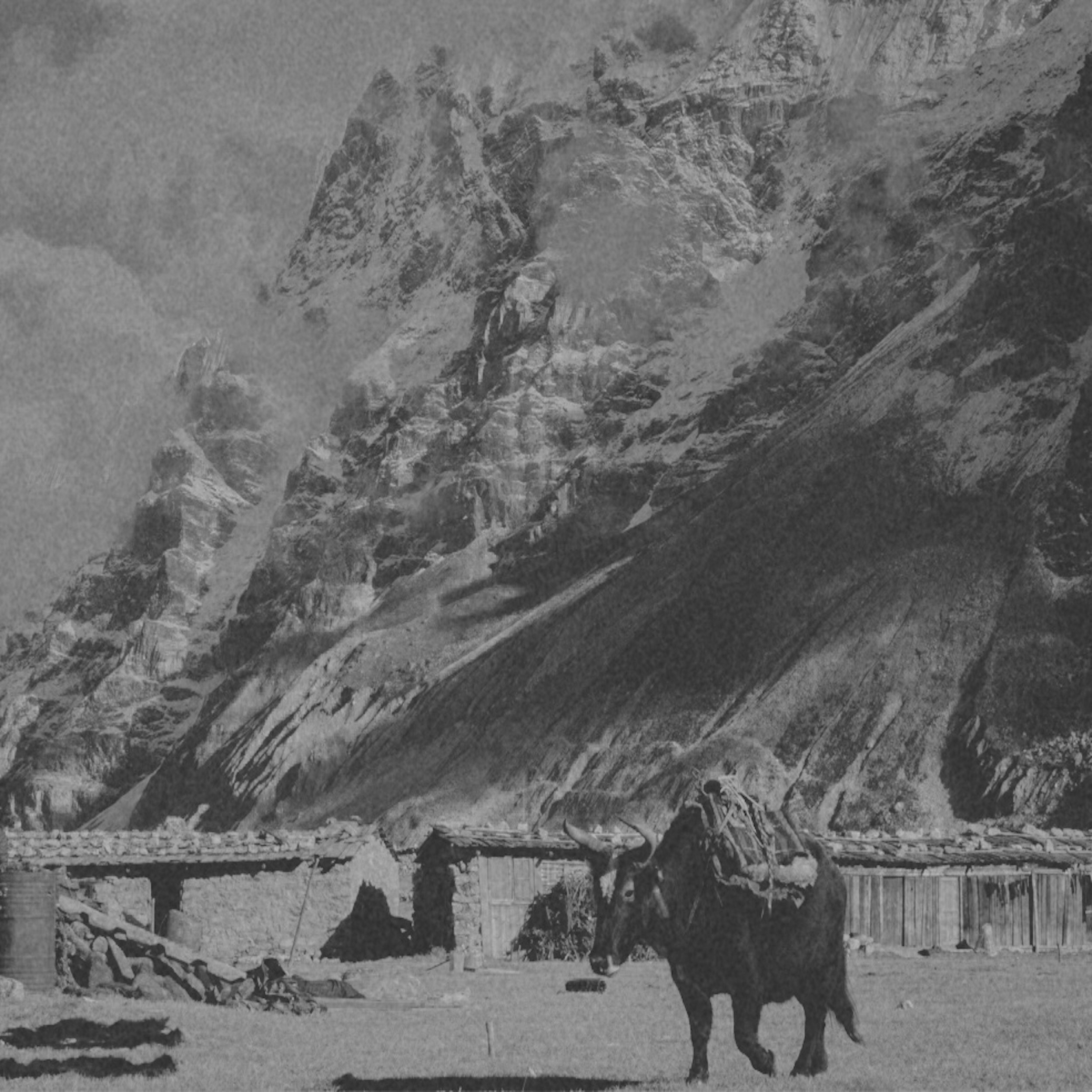 Tempo Talks: A Conversation with Idle Moon