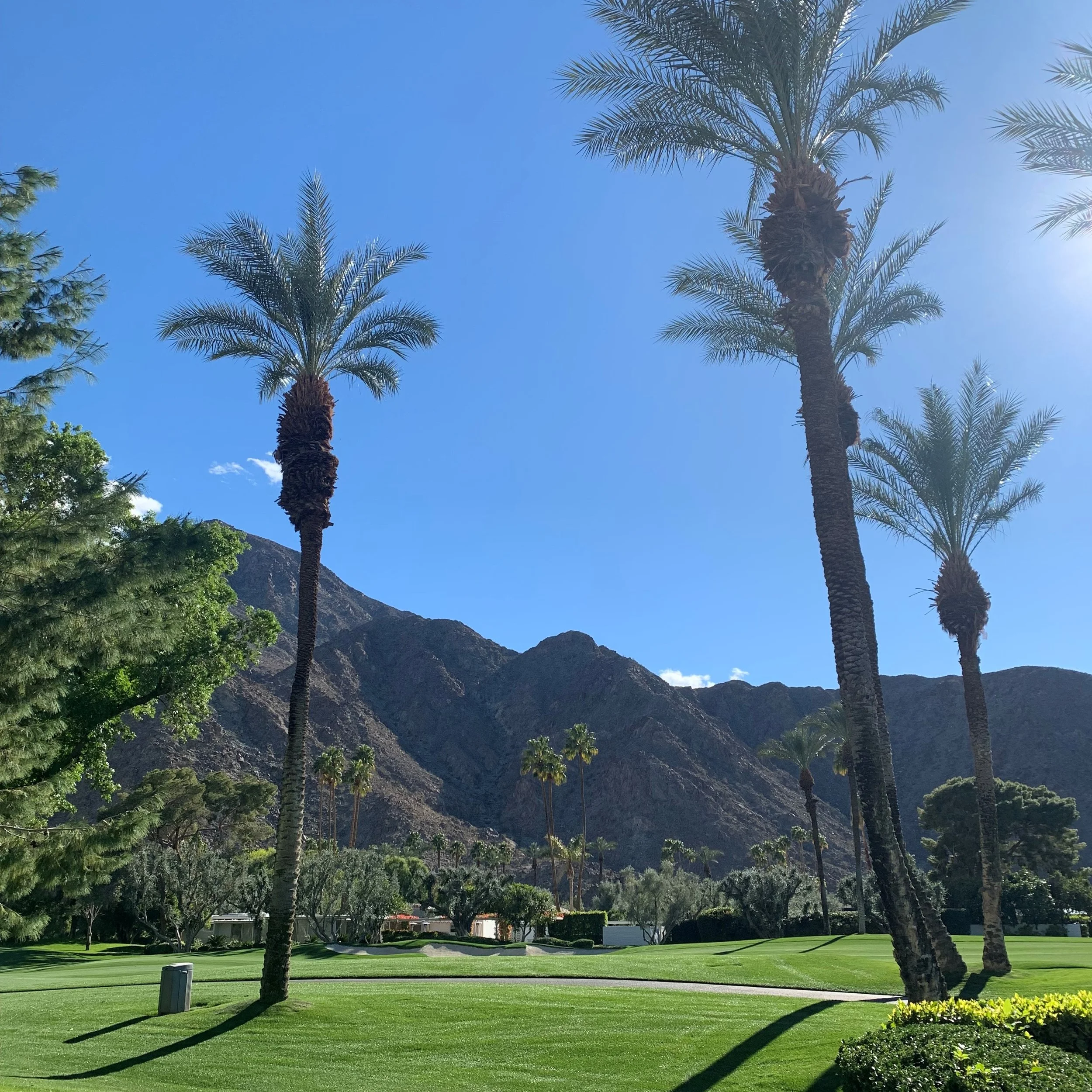 Tempo Talks: A Conversation with Erik Evy