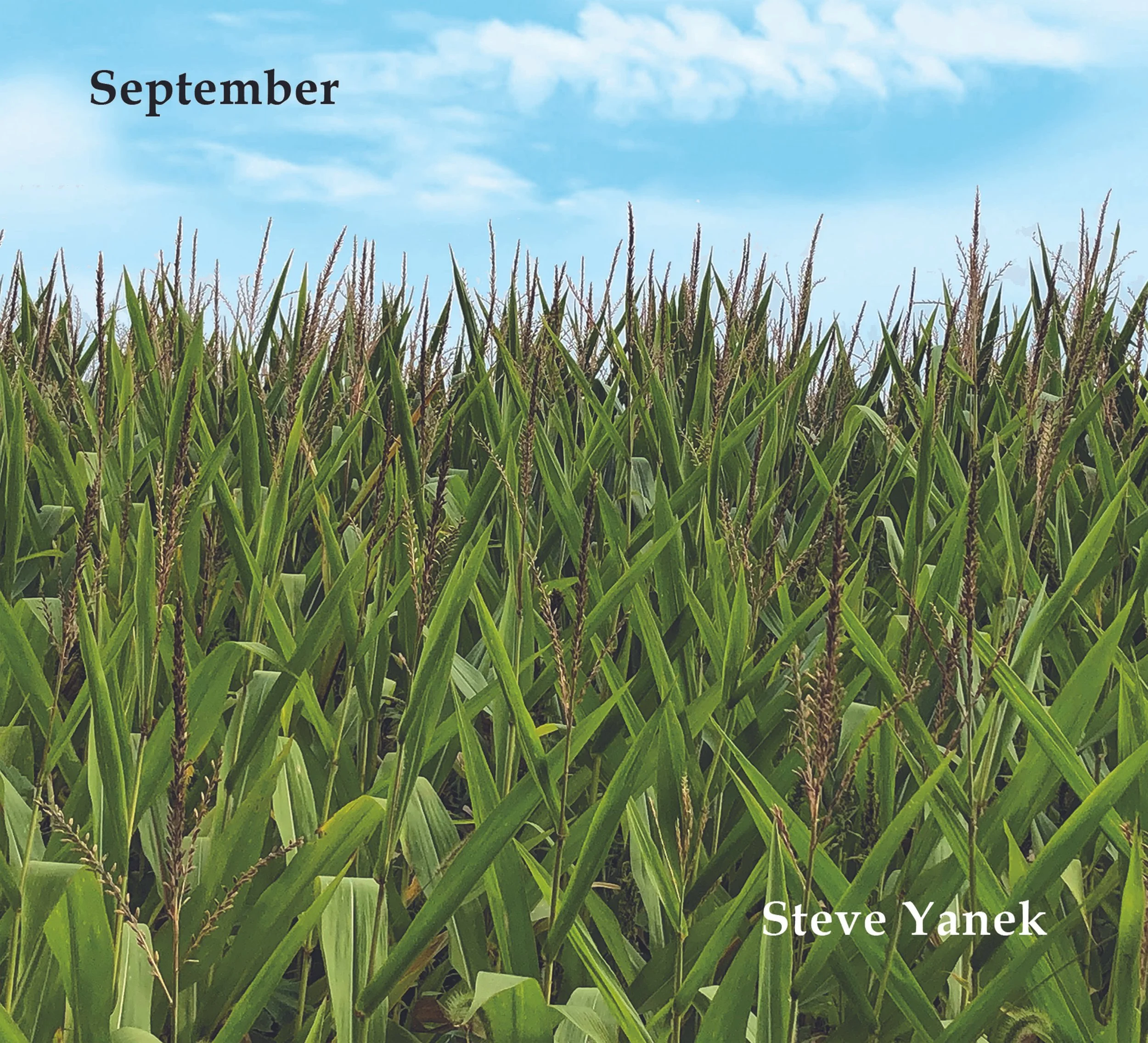 Tempo Talks: A Conversation with Steve Yanek