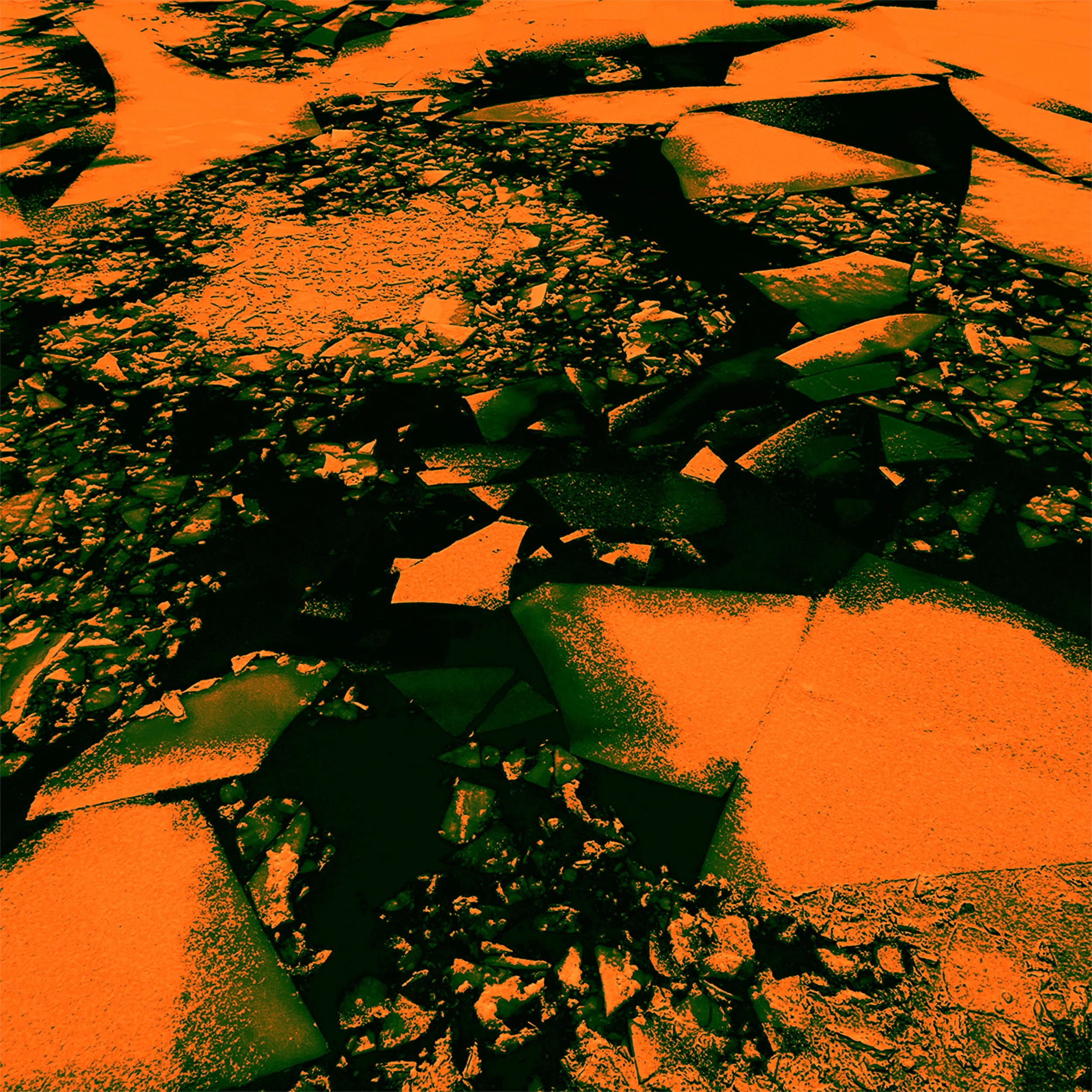 Tempo Talks: A Conversation with Mary And The Sharks