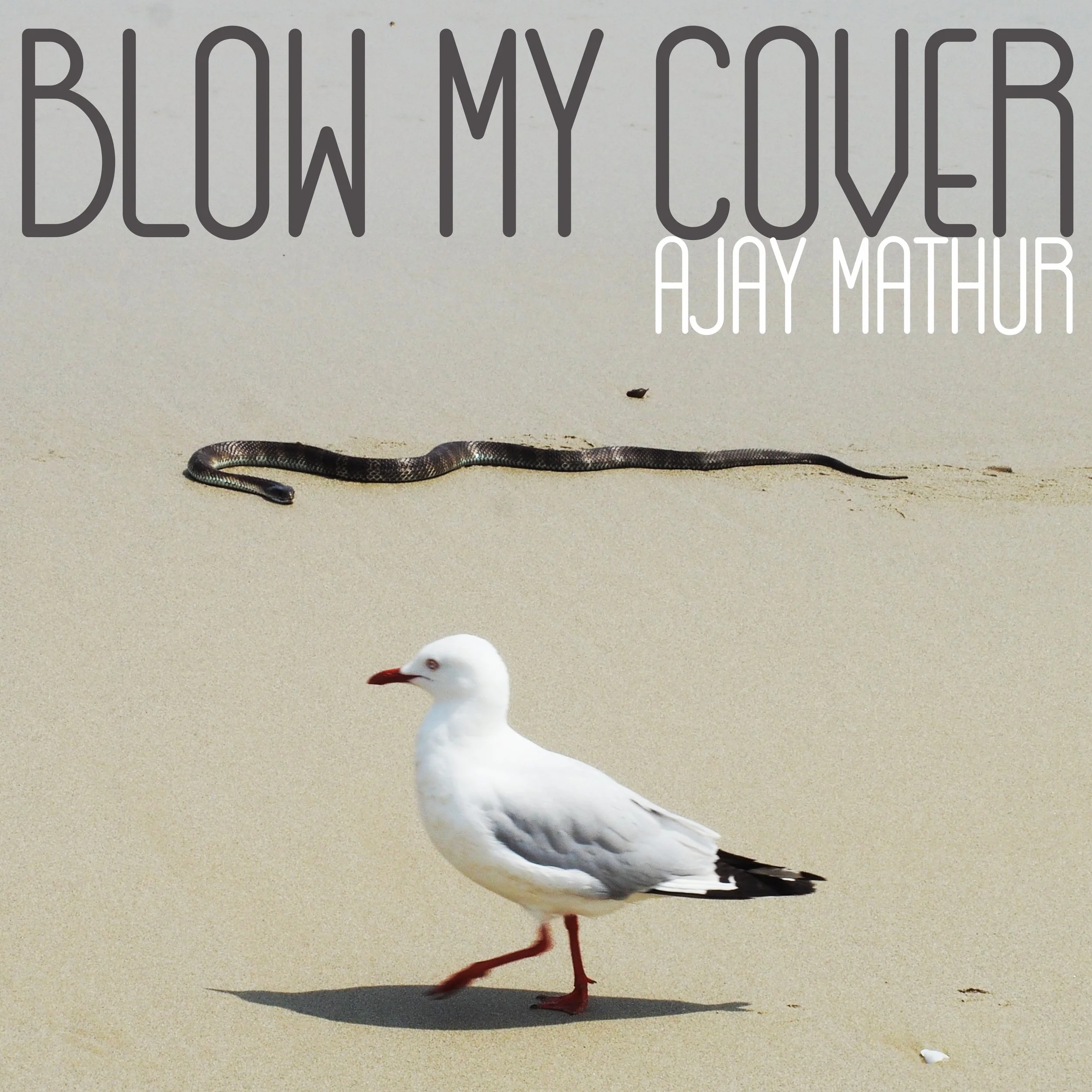 Nostalgic and Powerful: Ajay Mathur SHares his Album “Blow My COver”