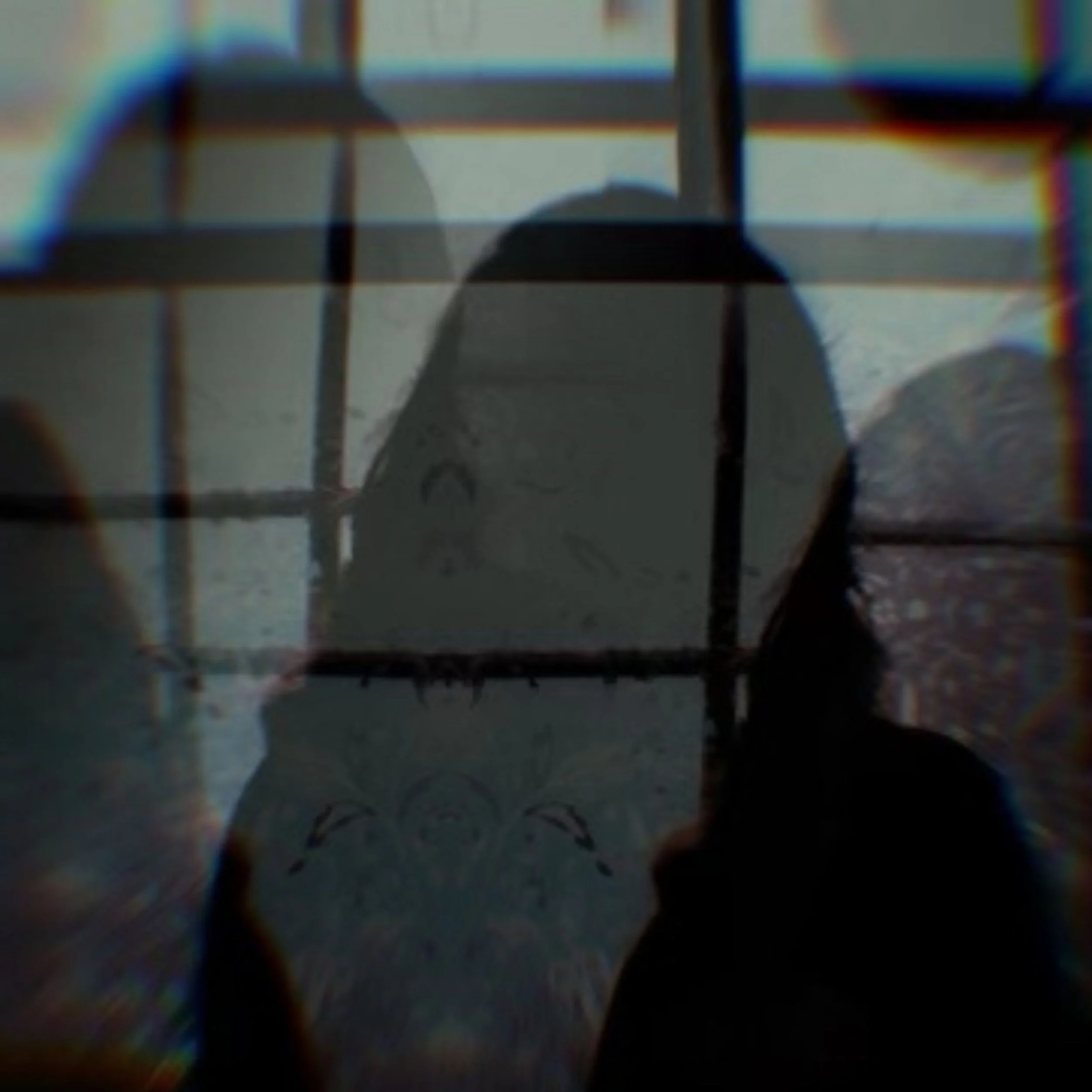 Each Measure Feature: Diana Omar