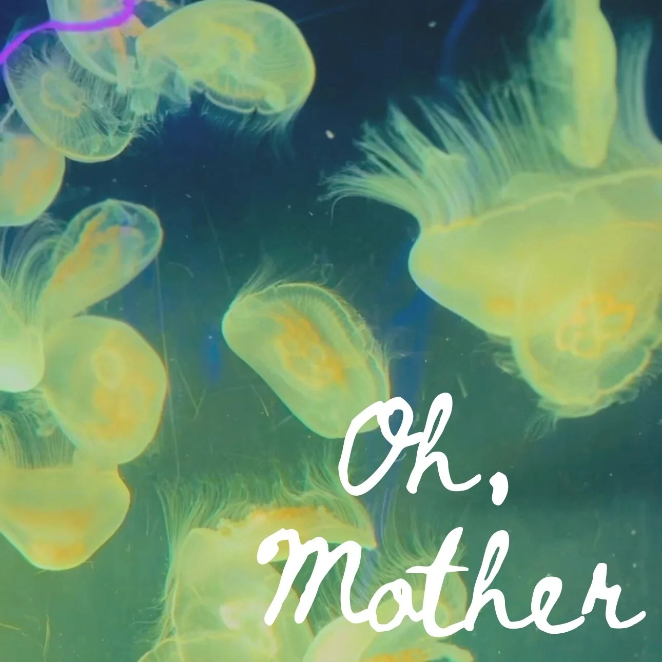 Tempo Talks: A Conversation with Bailey Grey