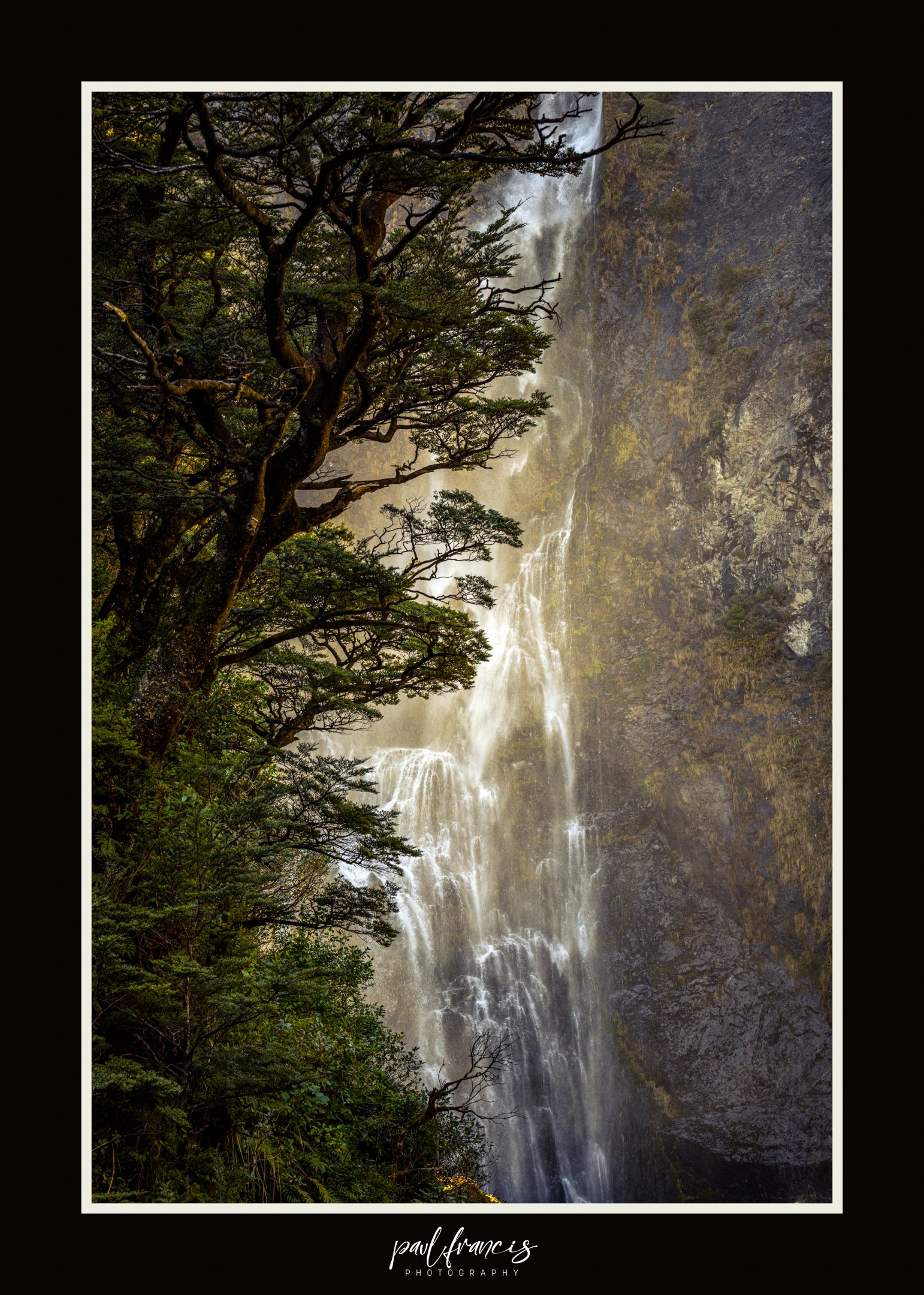 About Us TrilogyGroupLimited Techguy nz About Us TrilogyGroupLimited Techguy nz