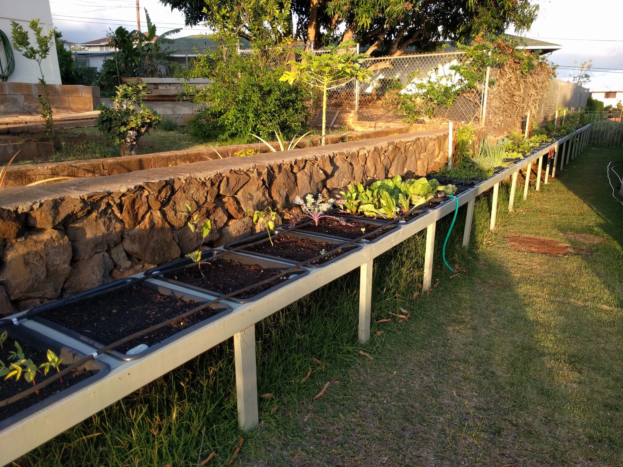 Garden (1).jpg