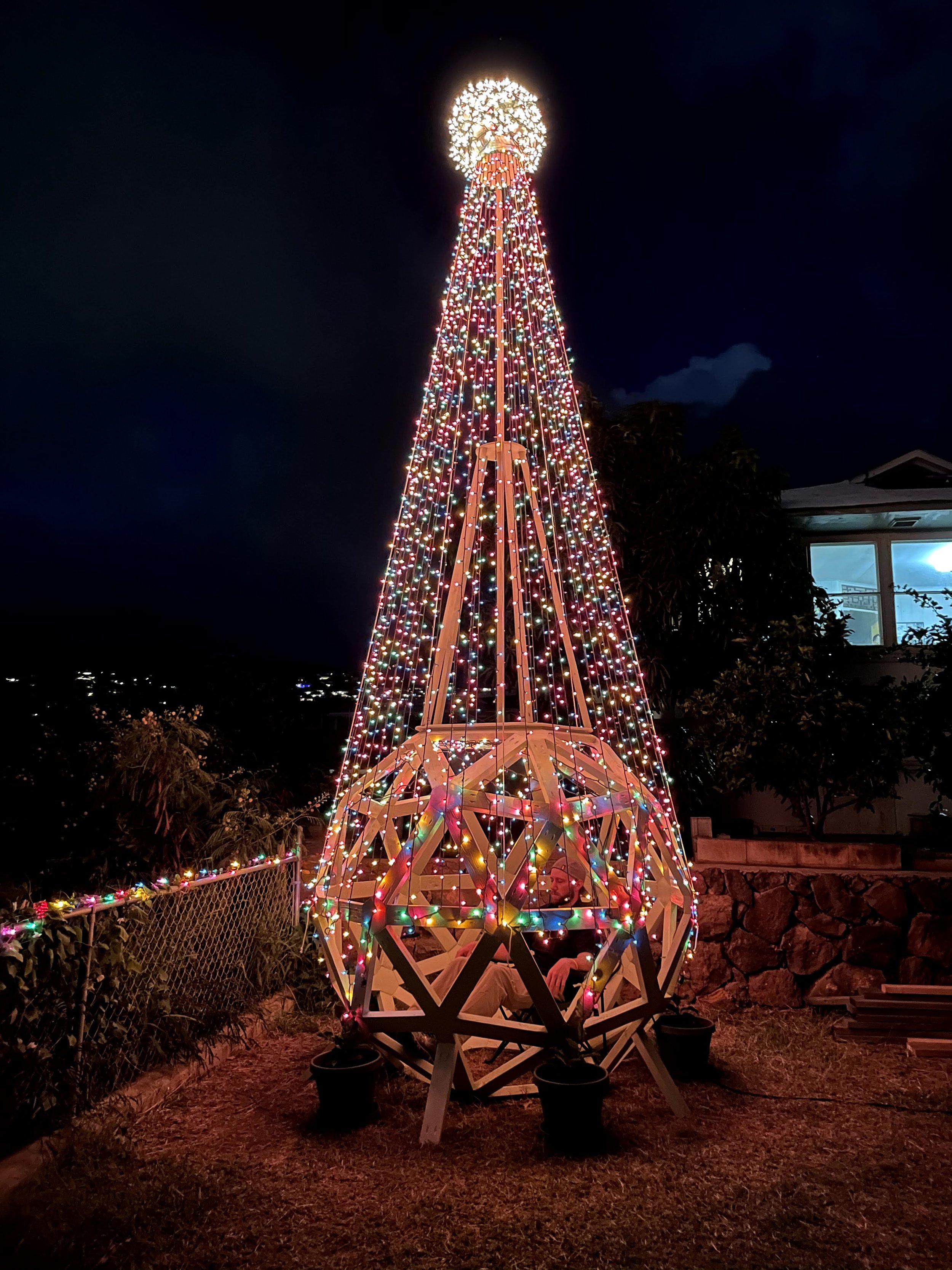 Geodome Christmas tree (1).jpg