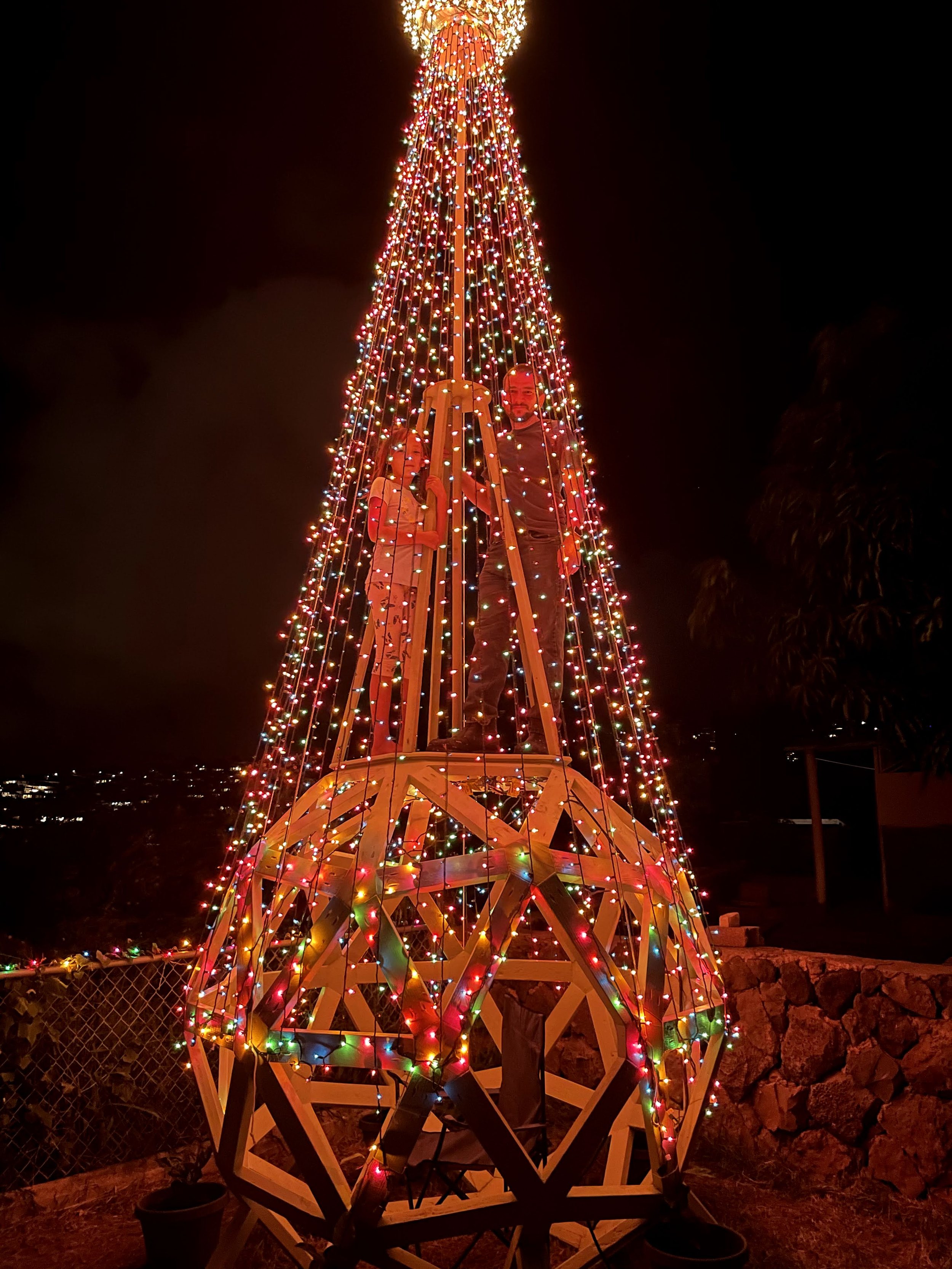 Geodome Christmas tree (13).jpg