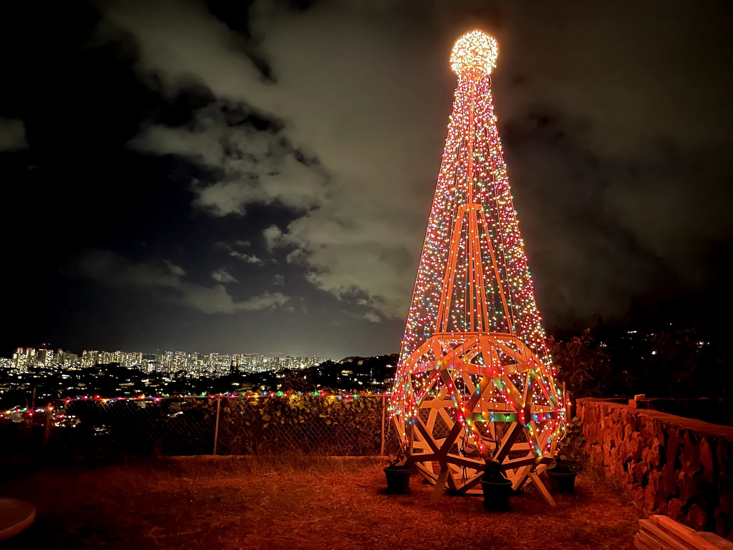 Geodome Christmas tree (14).jpg