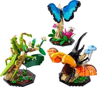 Insect Collection