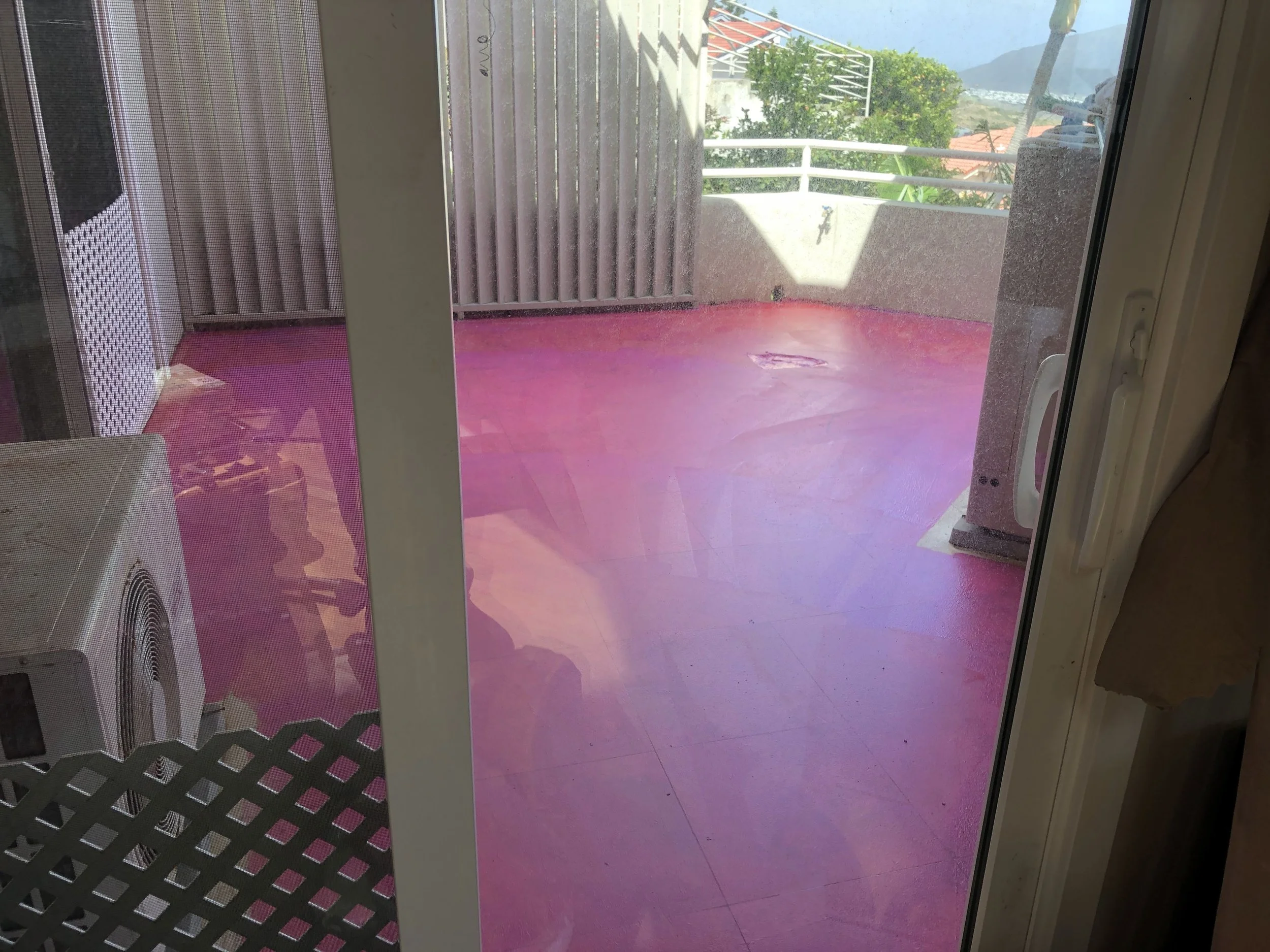 Red Gaurd on Lanai Steadly1.JPG