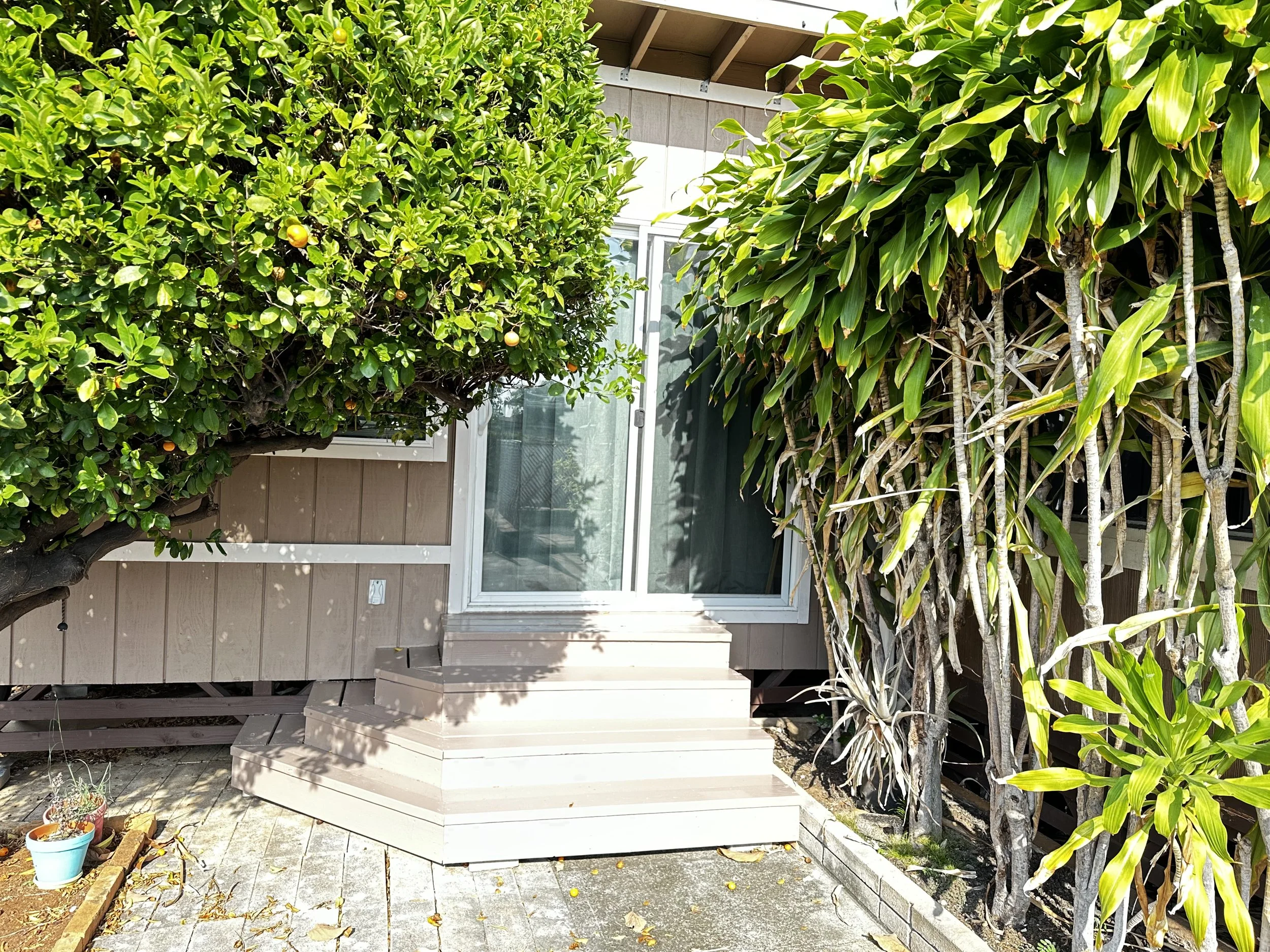 Angle Stiars Kohara.jpeg