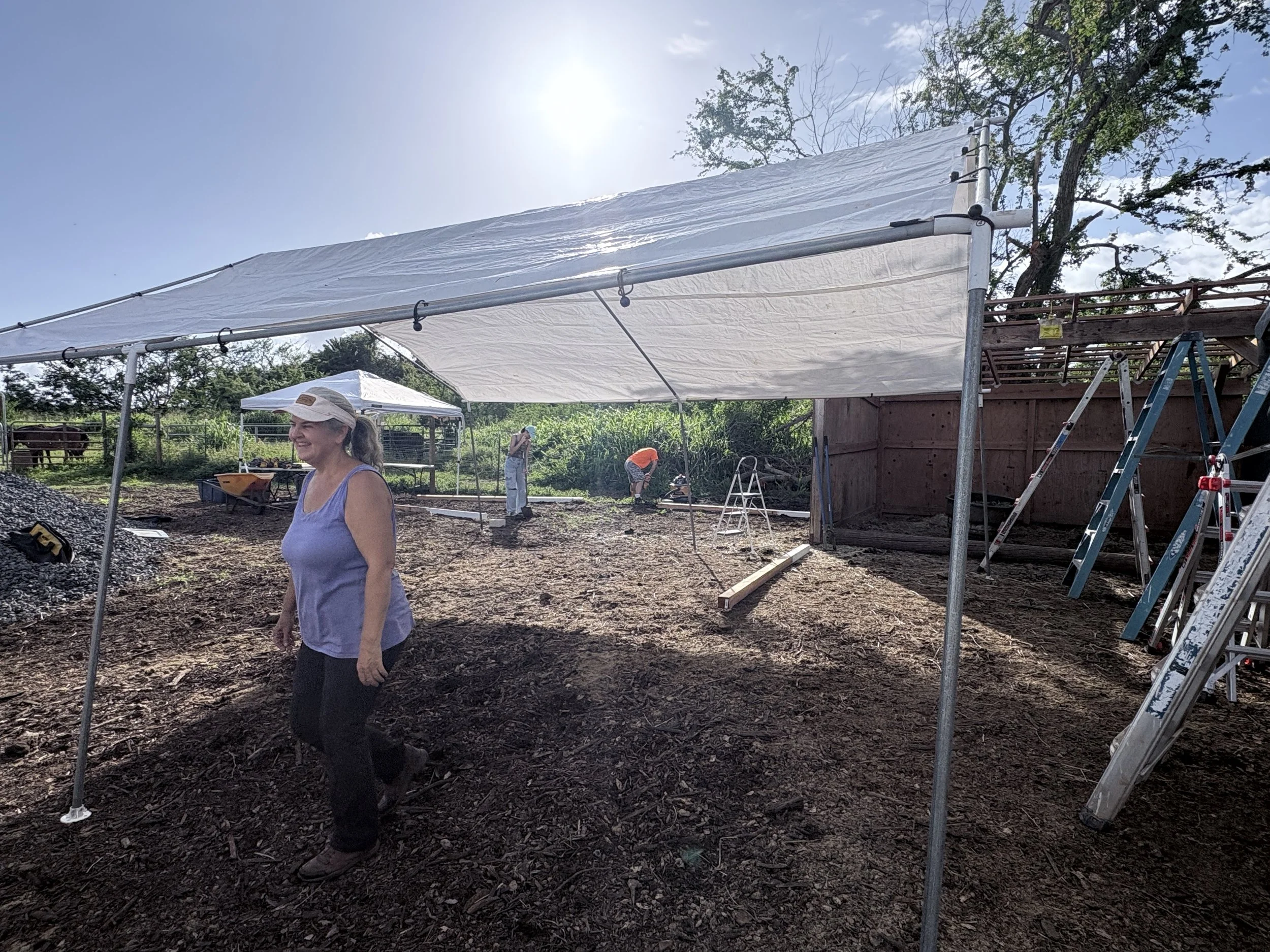 26.4 Farm Project Pictures1.JPG