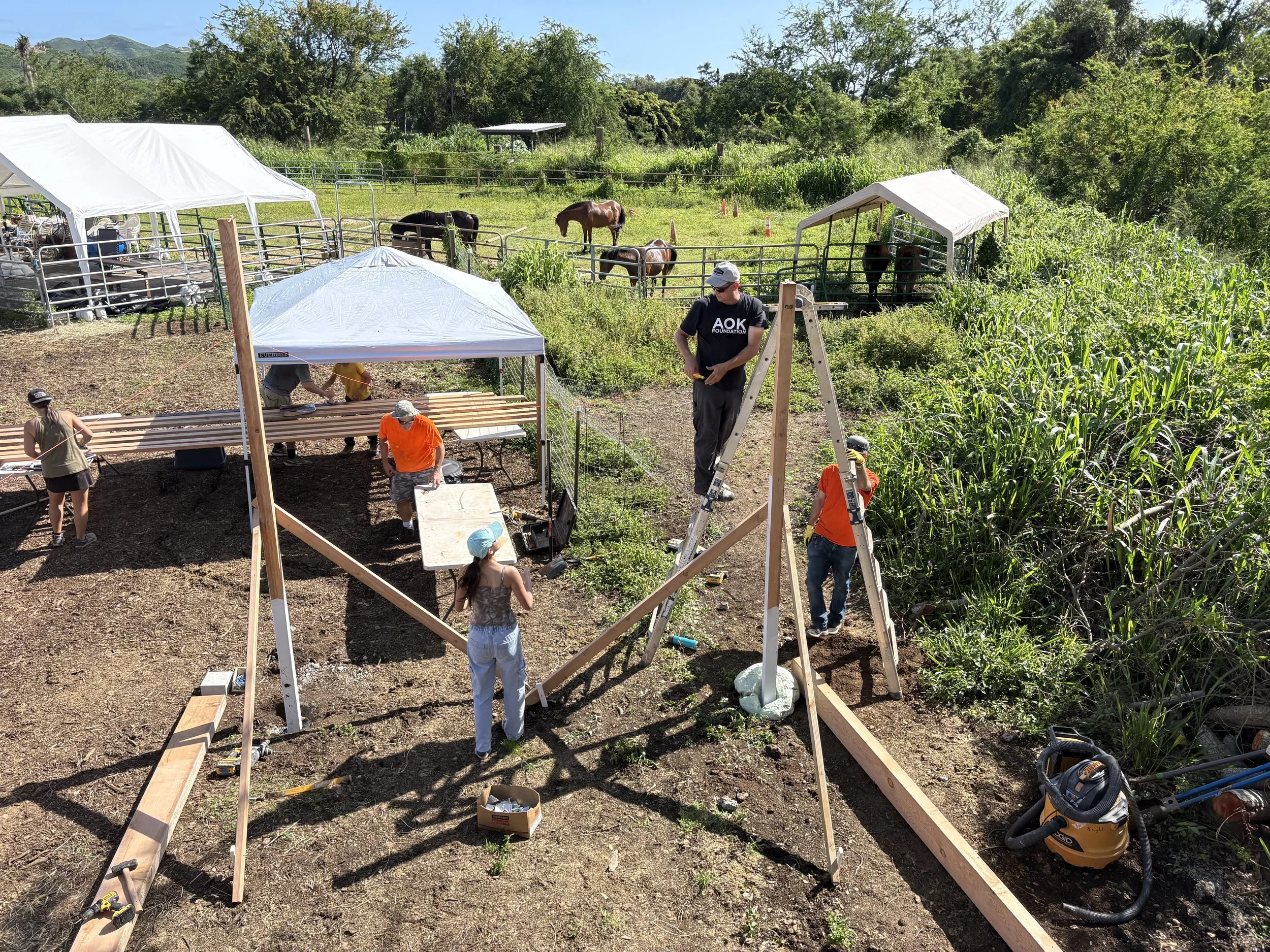26.4 Farm Project Pictures7.jpeg