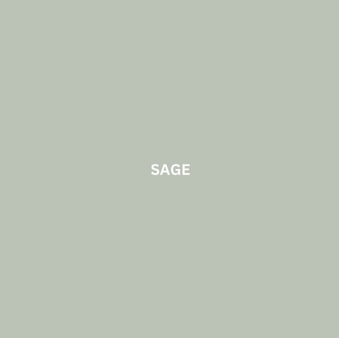 3E3F08EF-0B36-4464-9EBD-7A5F76864959.jpeg