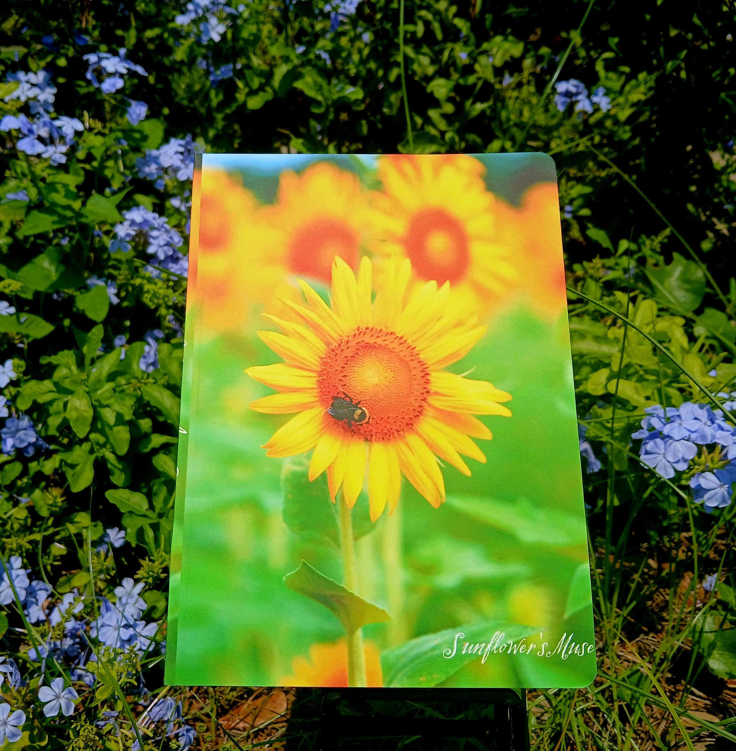 Sunflower and Bee cover journal and notebook. Perfect for your thoughts.