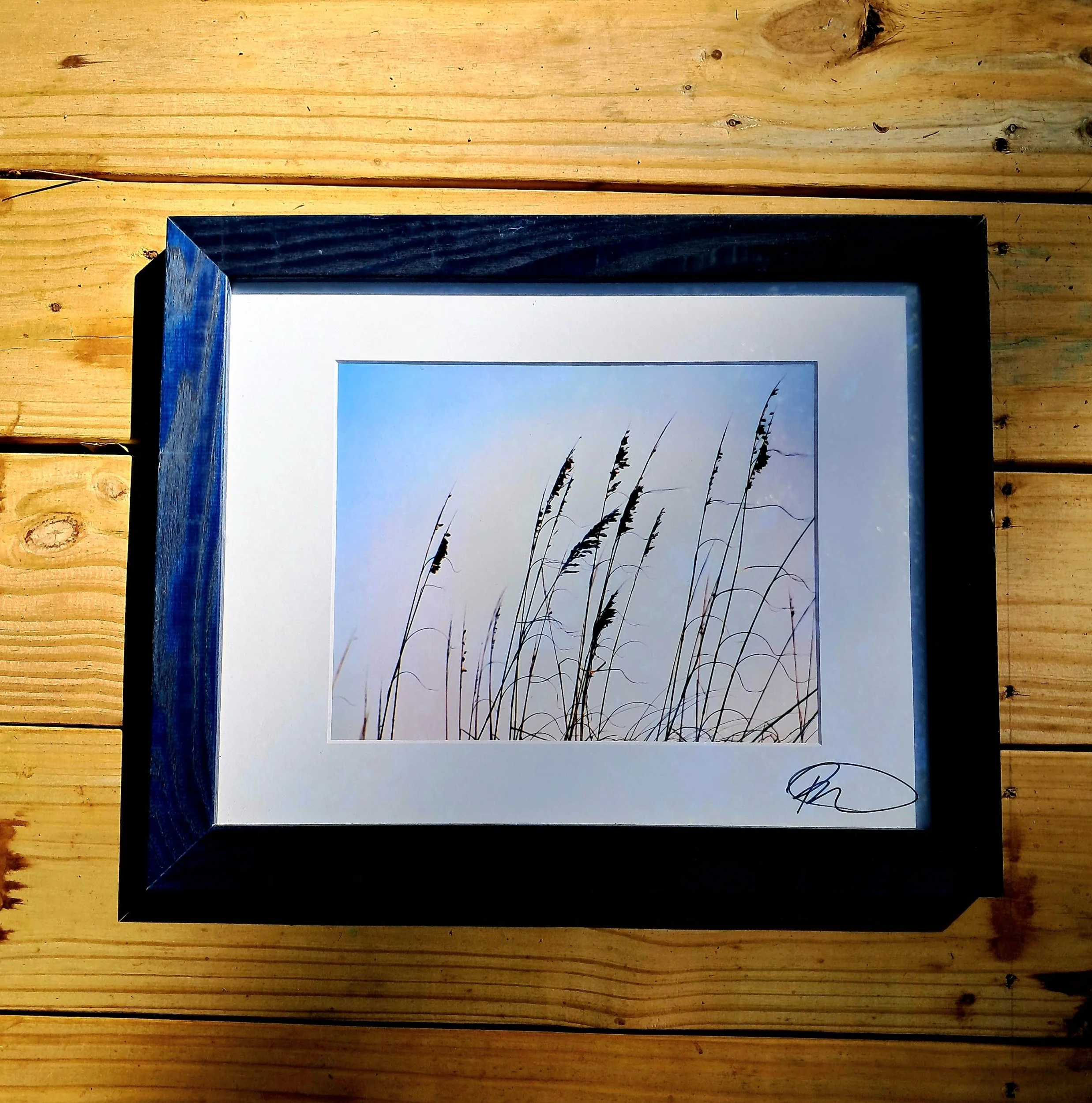 Photo of beach grass.
