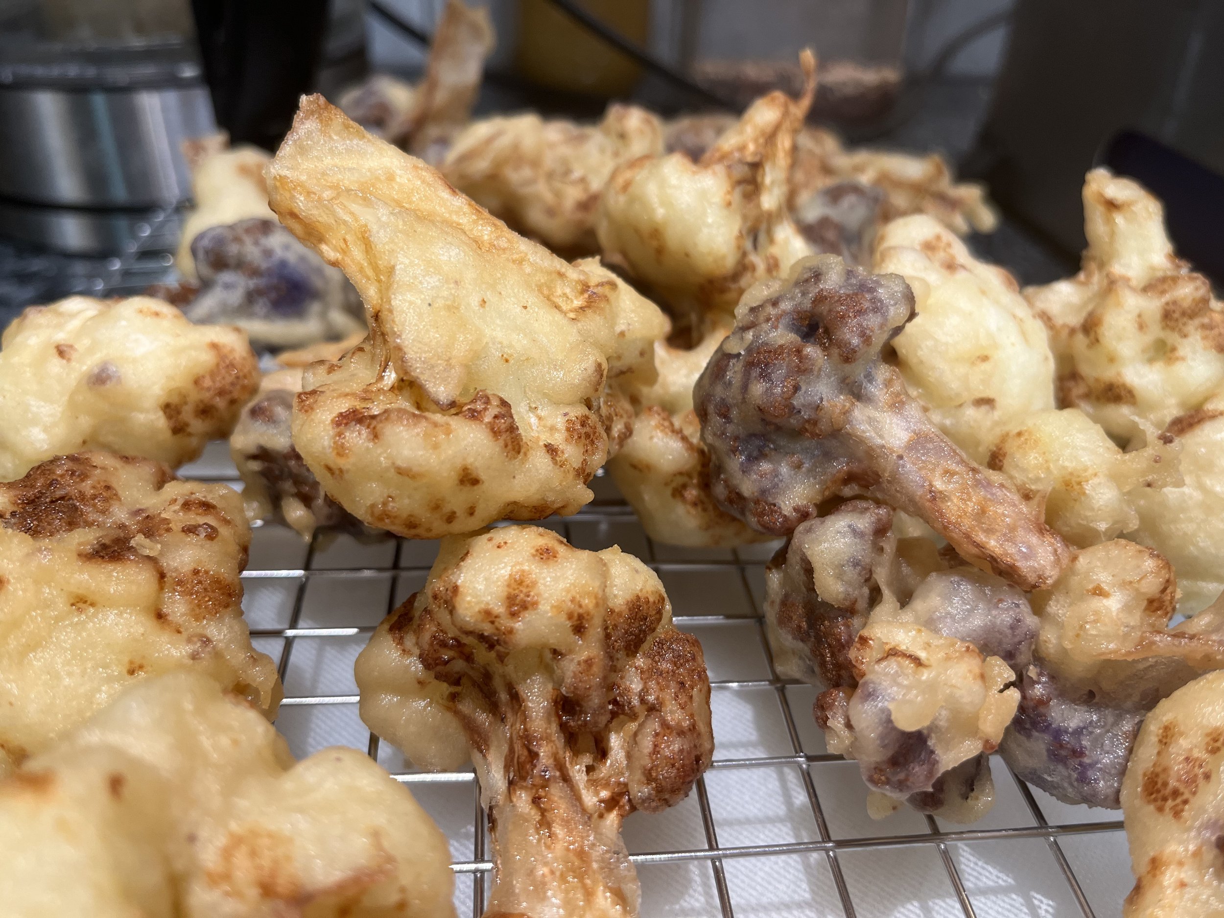 Gobi2 Fry.jpeg