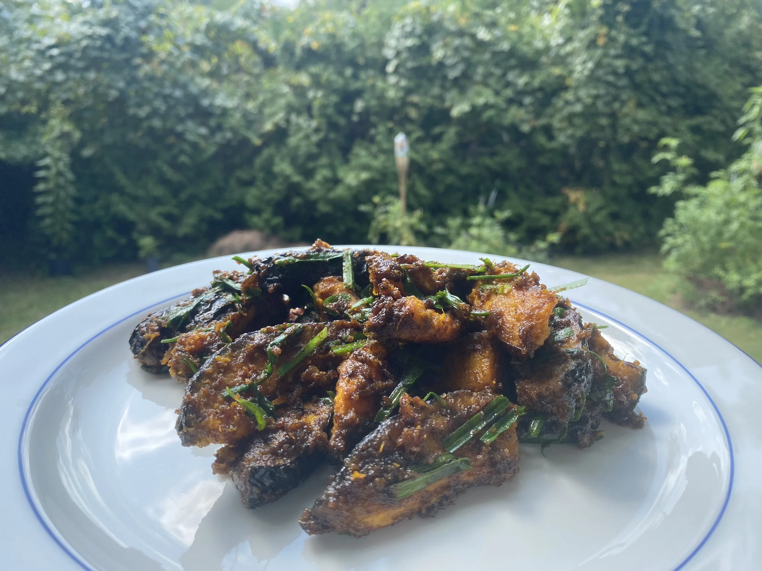 金沙南瓜 Golden Sand Pumpkin