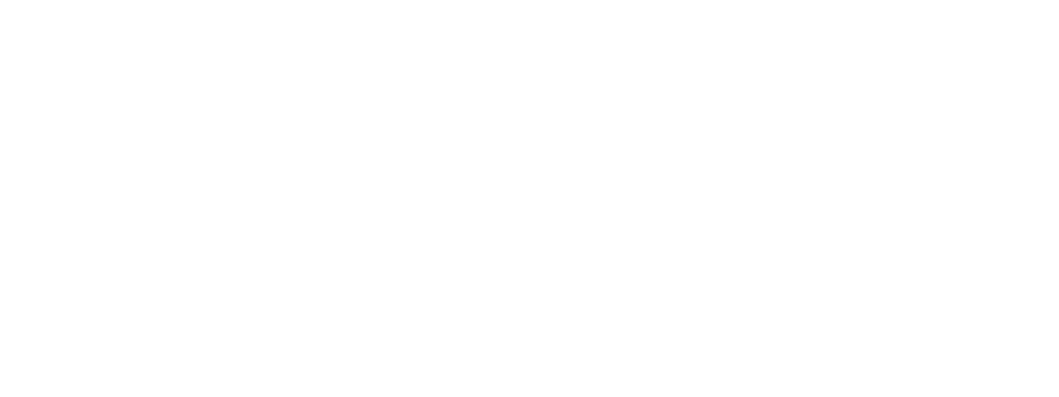 BIN BROTHERS