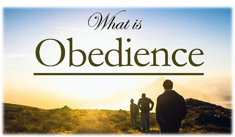 Throughout your life, you are presented with choices.  As you make choices, you will obey your own judgment, a parent&rsquo;s judgment, a teacher&rsquo;s, the world&rsquo;s, or what you think God would have you do. 
 
Needless to say, you will be obe