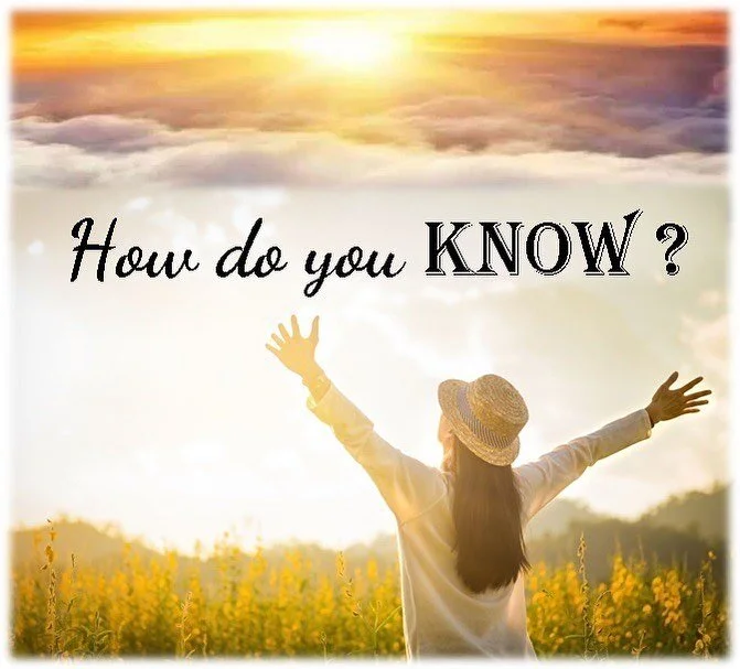 &ldquo;How do you come to know anything?&rdquo; I propose that the answer is, through your senses.
Senses are receptors of information to the world around you.  The senses that you use in making all of your conclusions will consist of your physical s