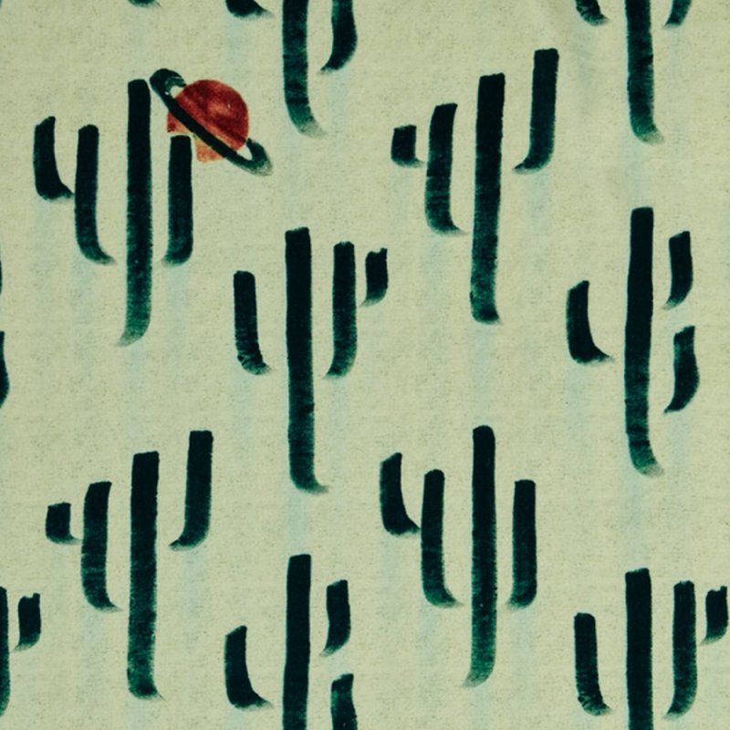saguaro-saturn-velvet-poodle-and-blonde.jpeg