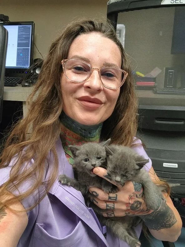 Blazer holding two grey kittnes