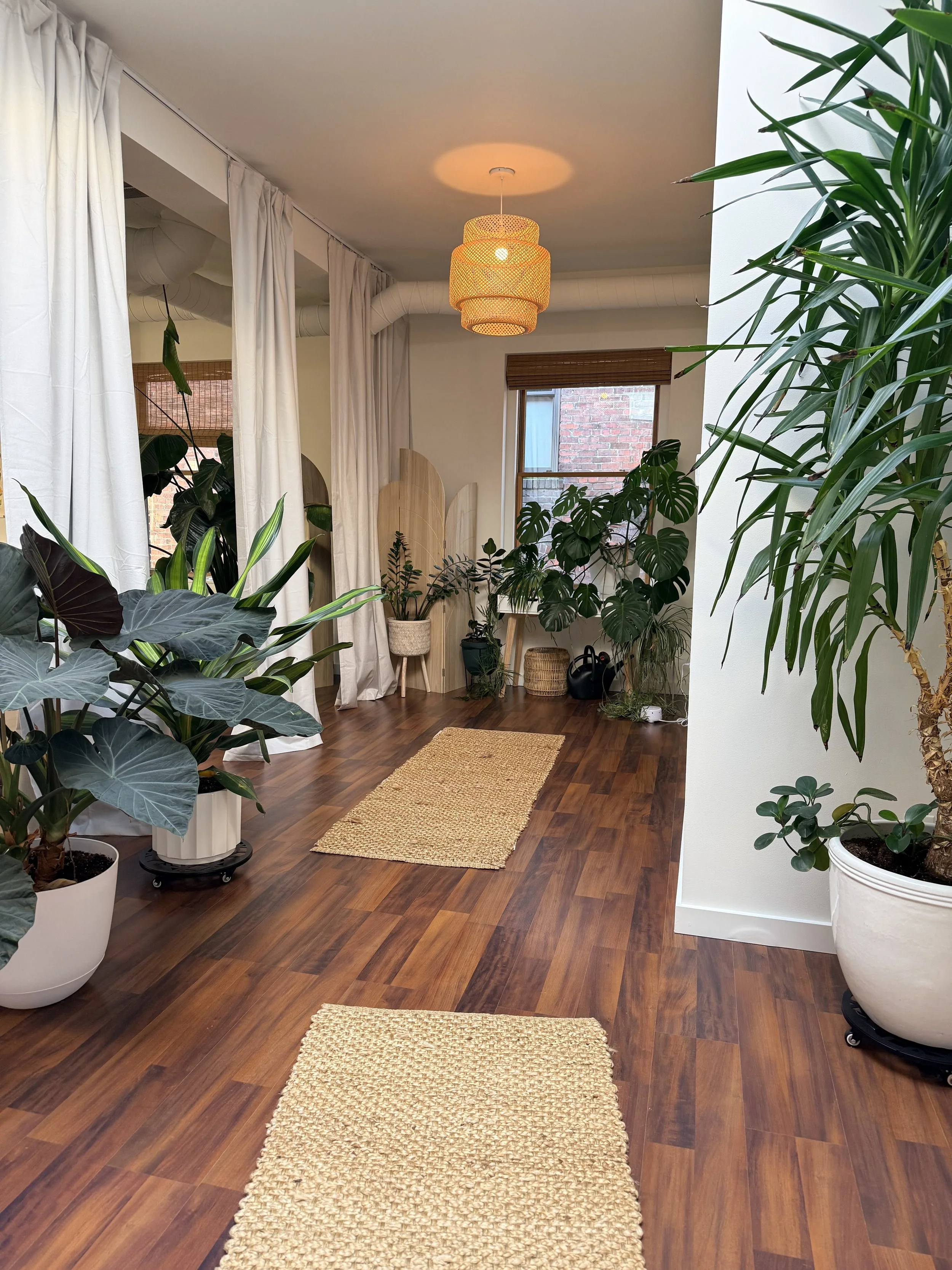 the space massaeg spokane.jpeg