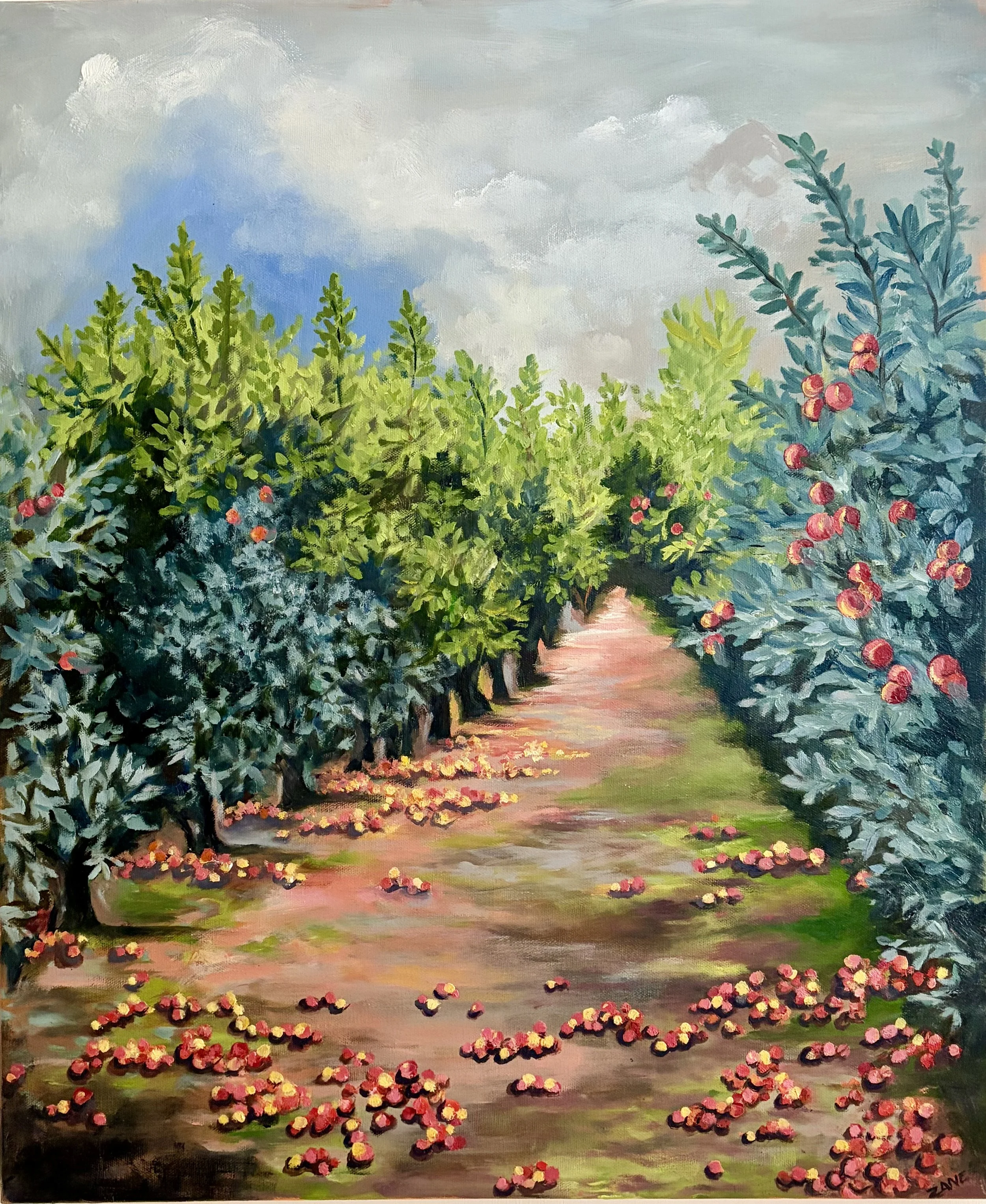 Sebastopol Apple Orchard, 20 x 24, oil, SOLD
