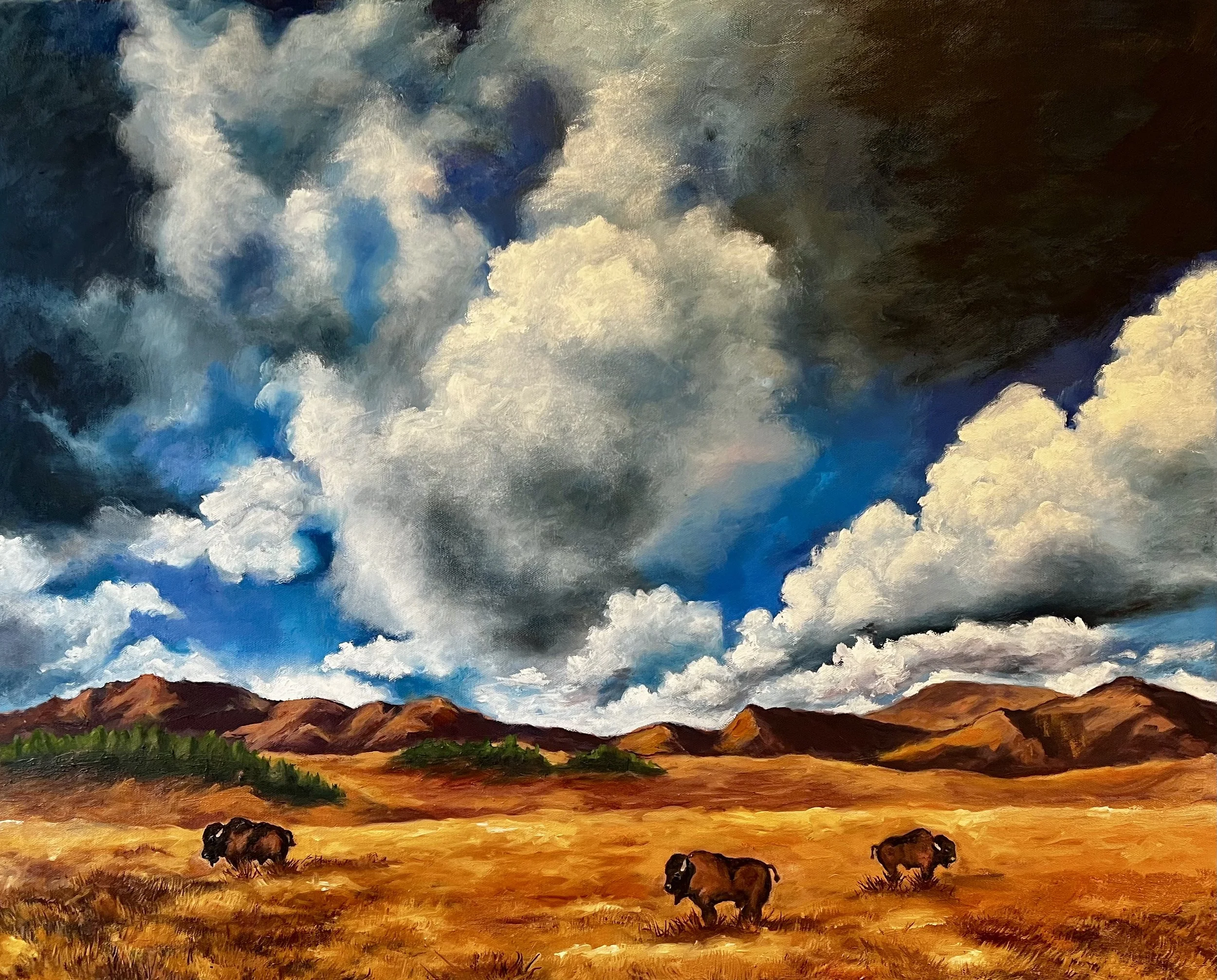 Yellowstone Clouds 2, 30 x 24, oil, Available
