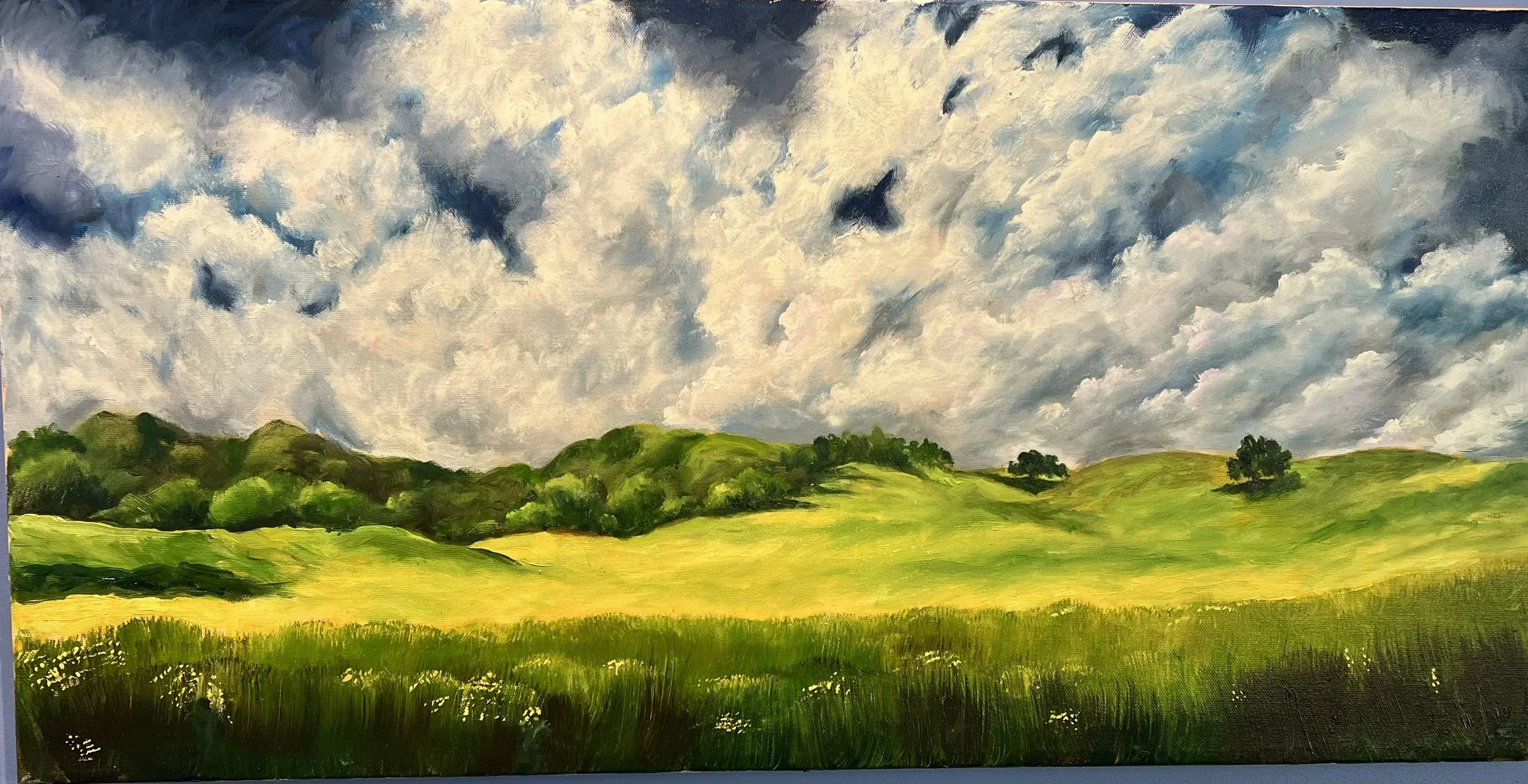 Storm over cornfield, 12 x 24, oil, SOLD
