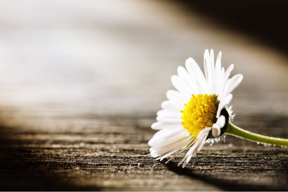 The Grief No One Talks About in Midlife