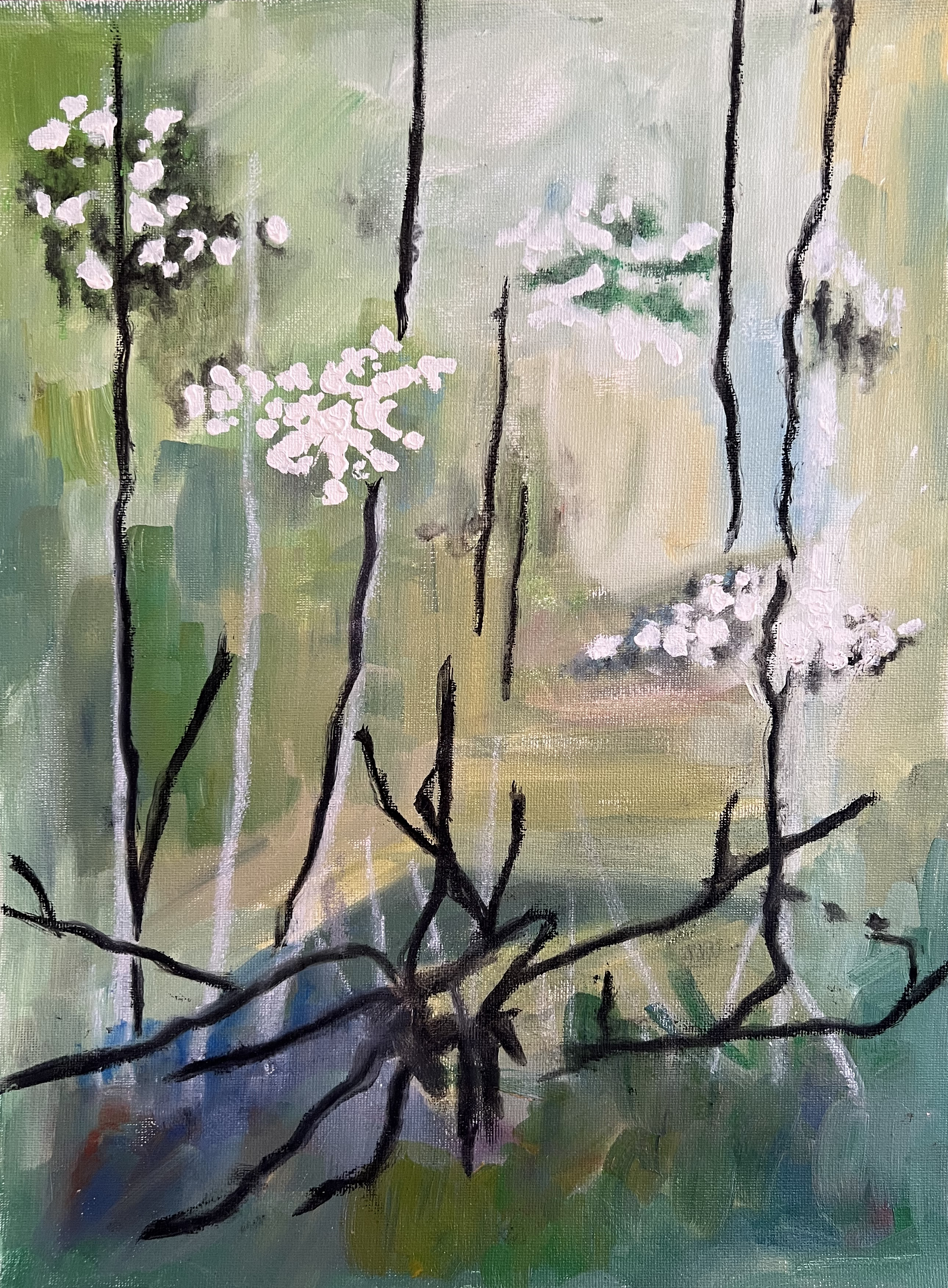 The Bayou Project