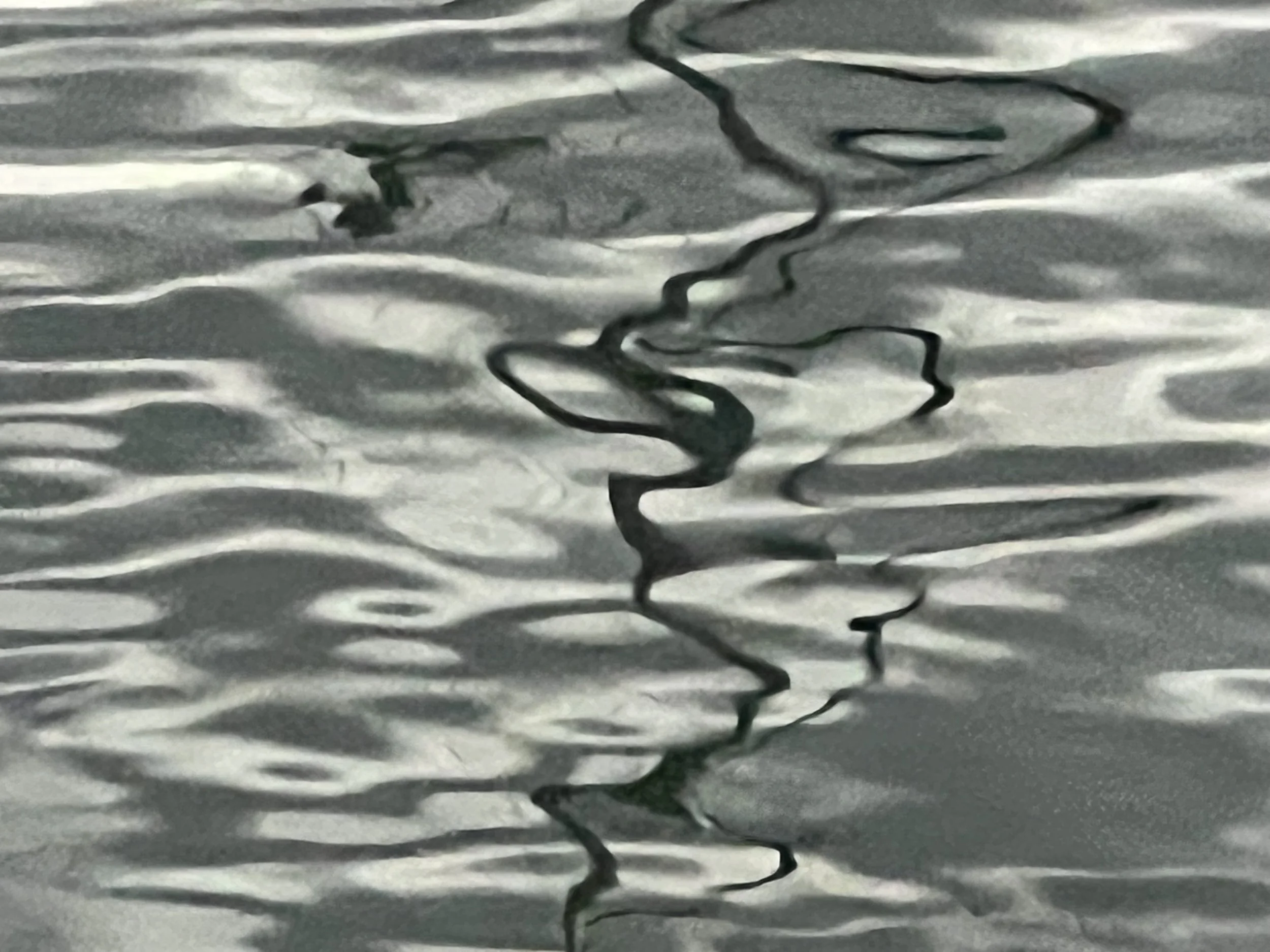 IMG_5464.jpeg