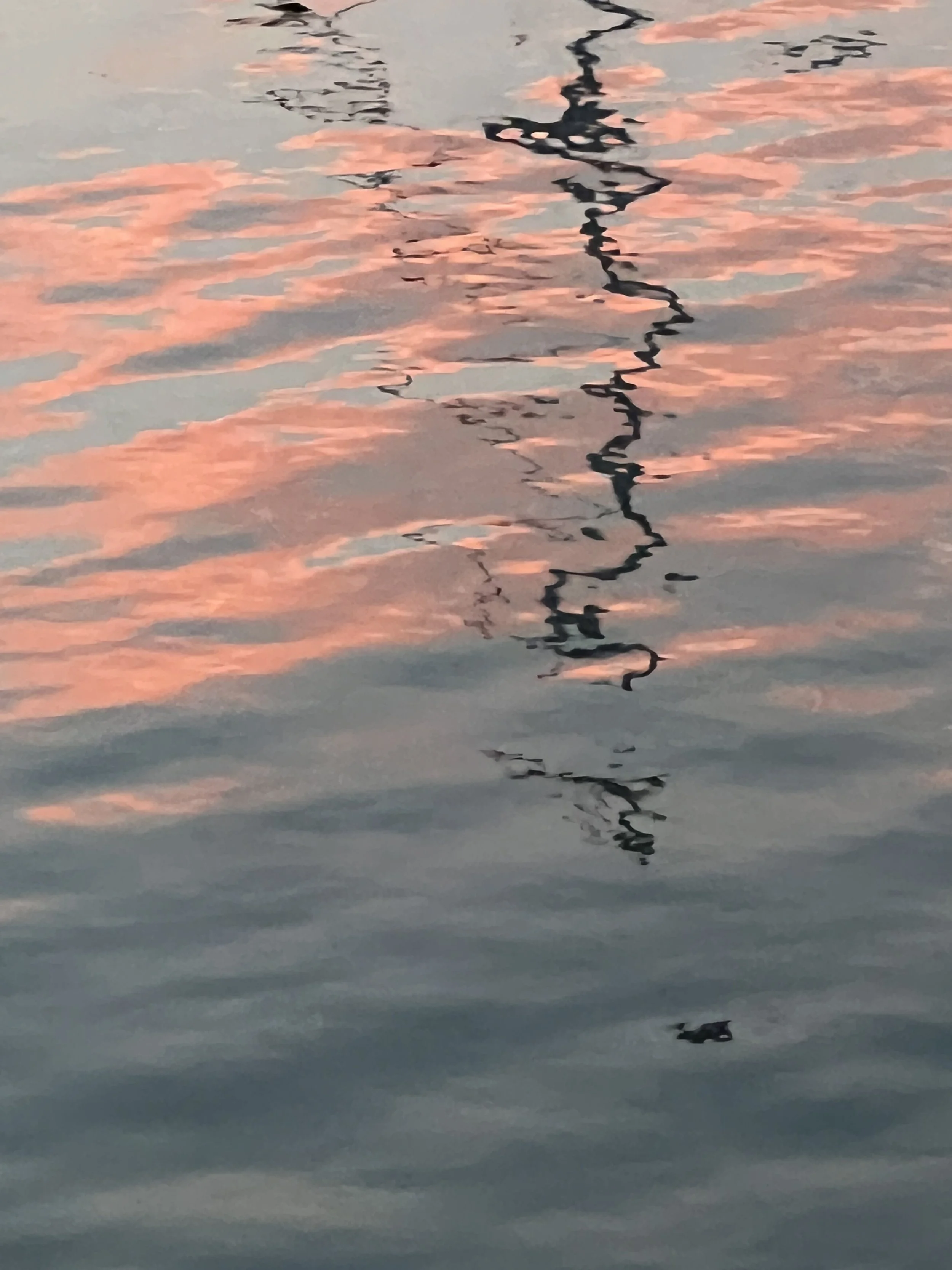 IMG_5514.jpeg
