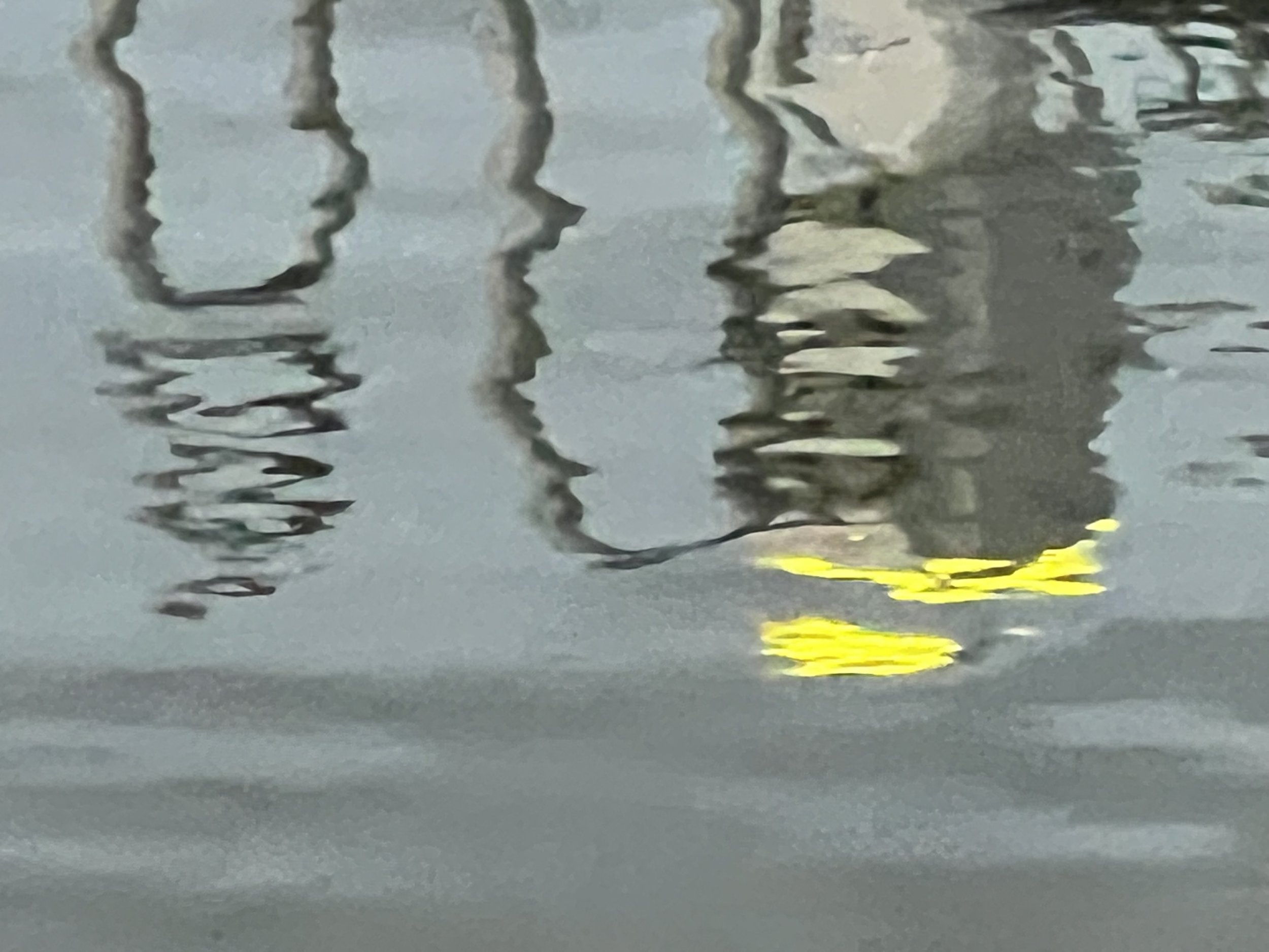 IMG_5470.jpeg