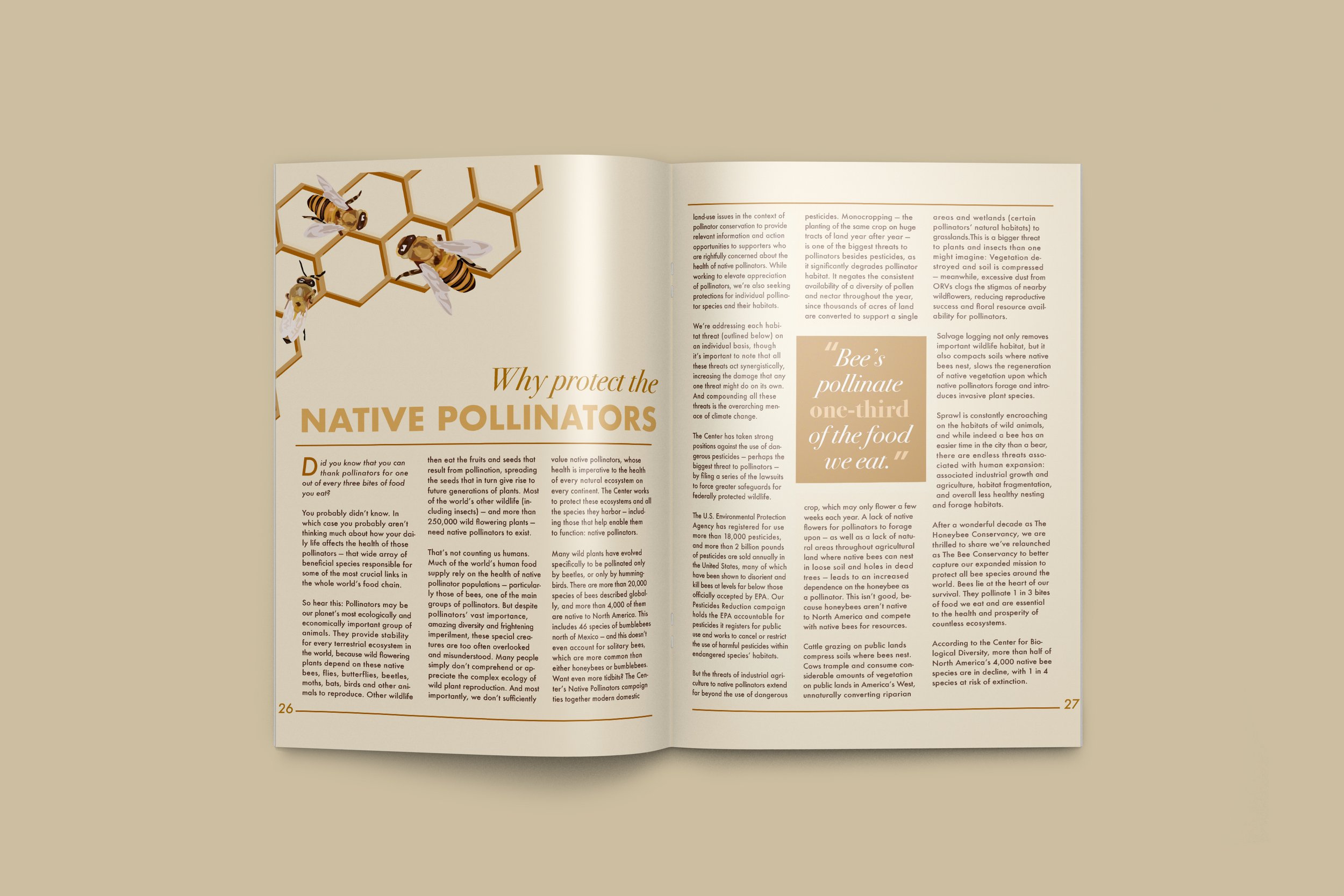 Bee Magazine 3.jpg