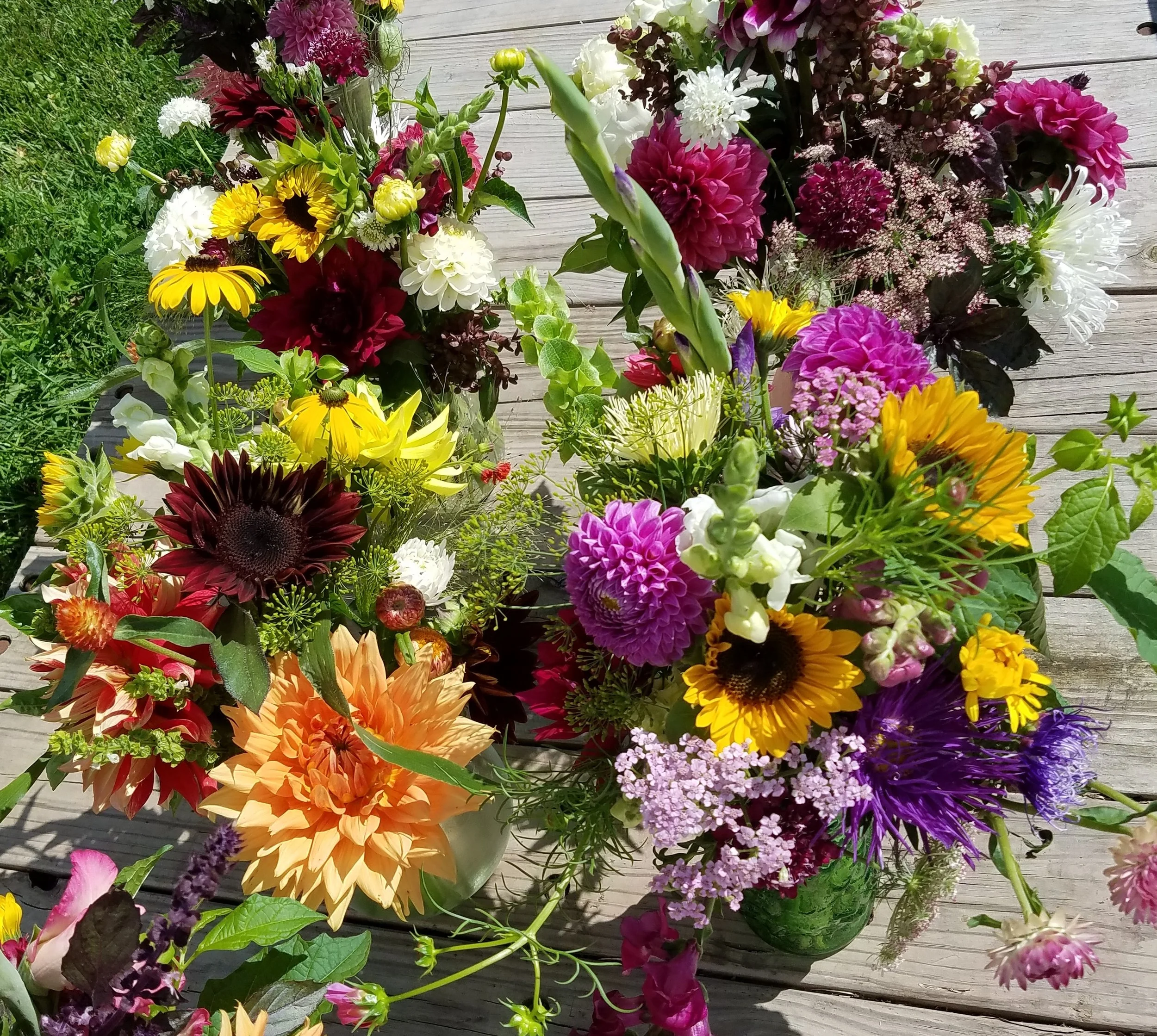 20220810_110621 (2).jpg