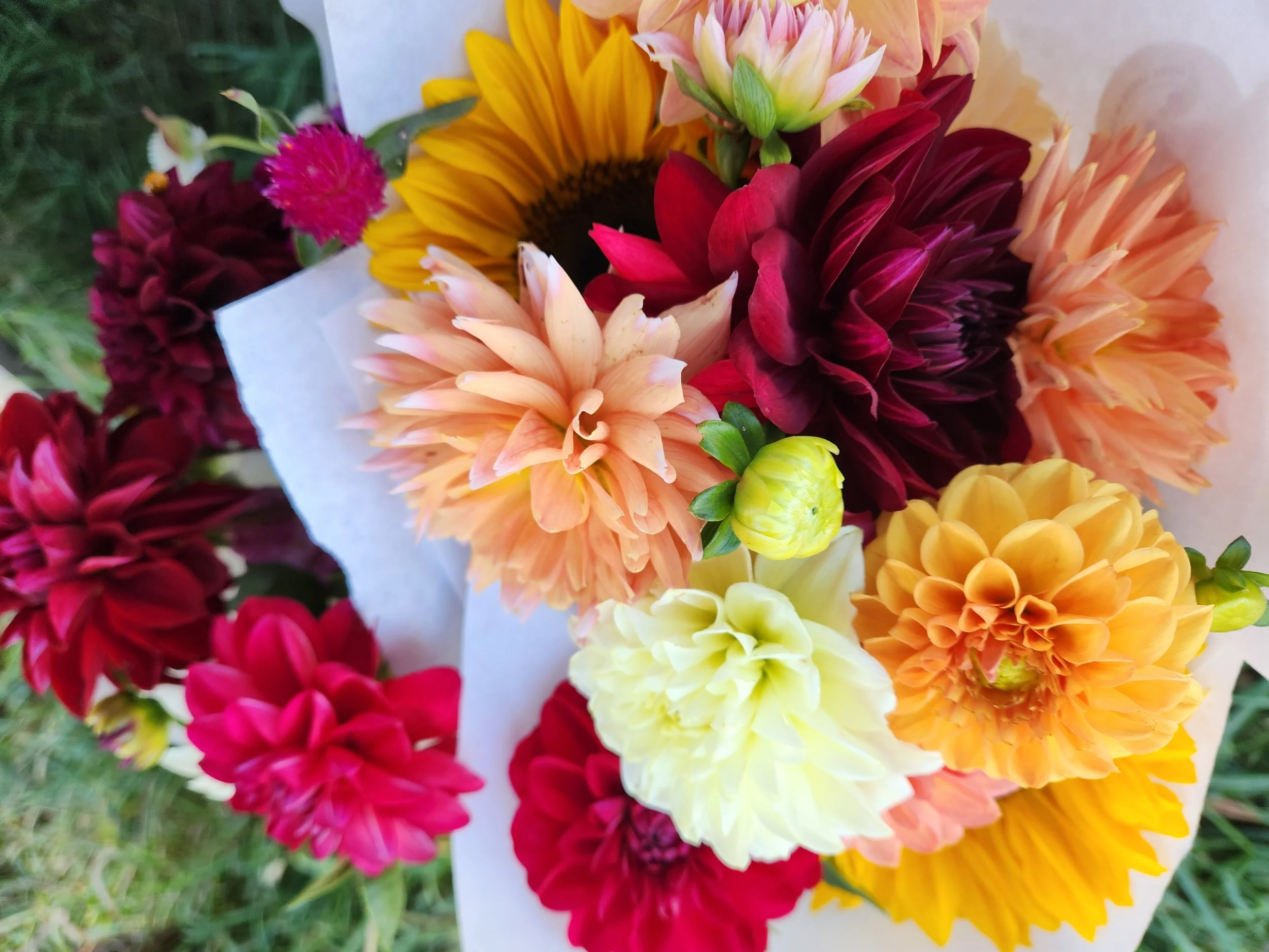 sunset colored bouquet.jpg