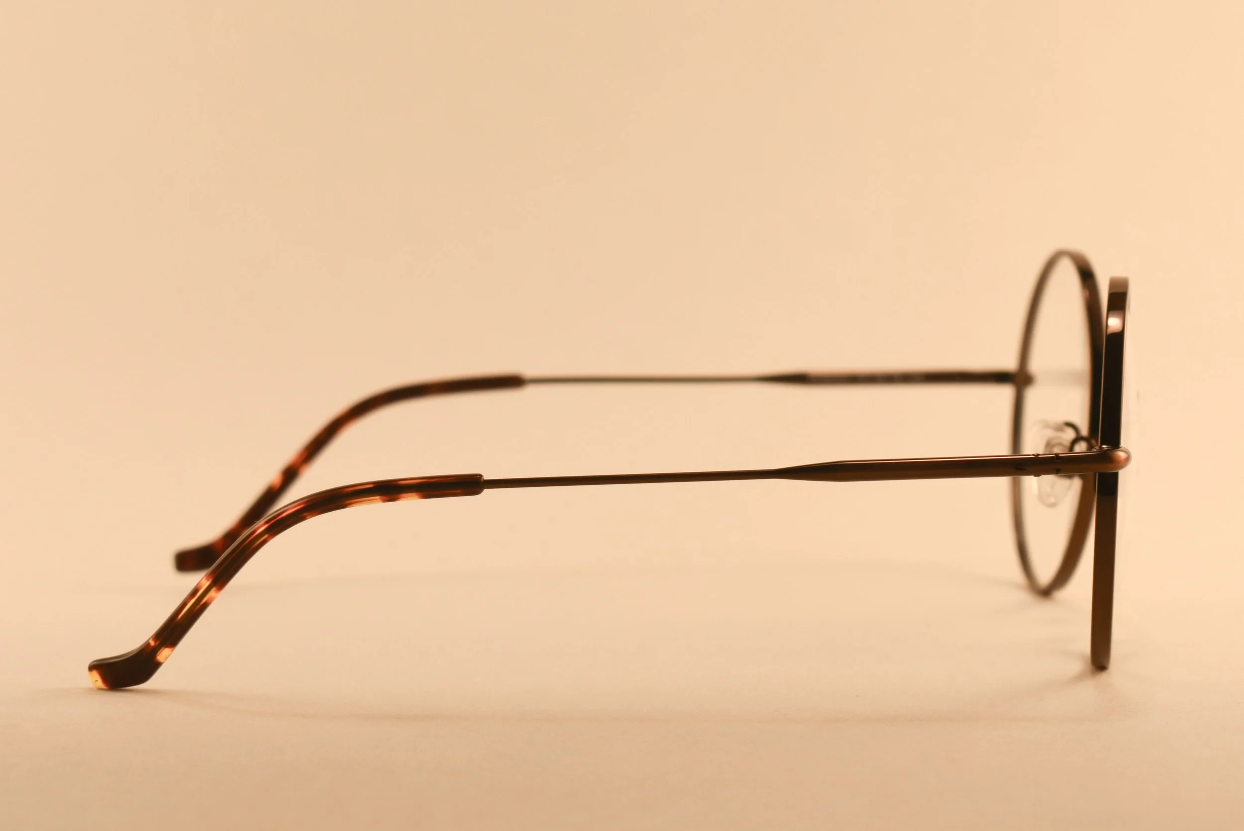 Perry_Eye_Bronze_PROFILE.jpg