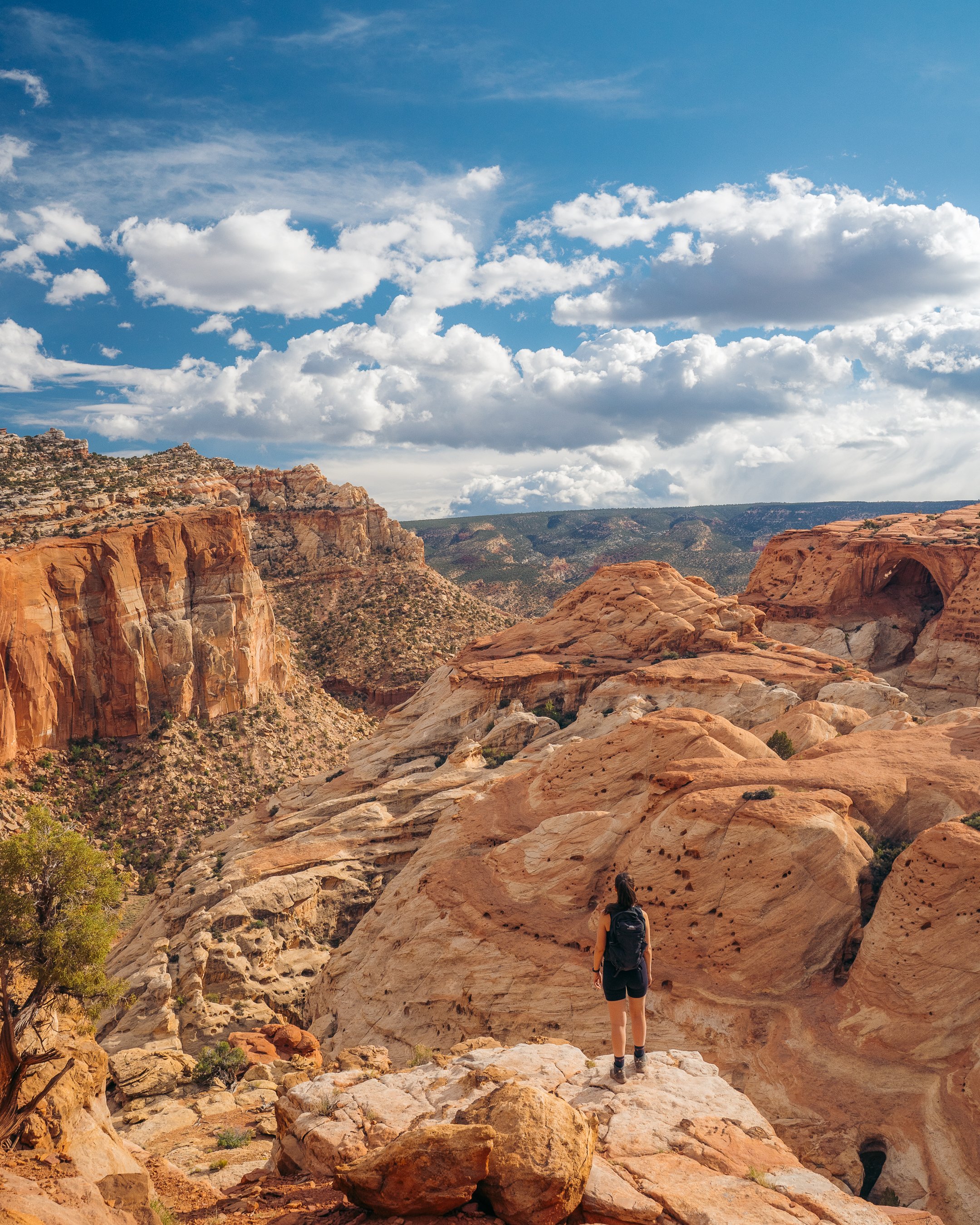 Capitol Reef National Park