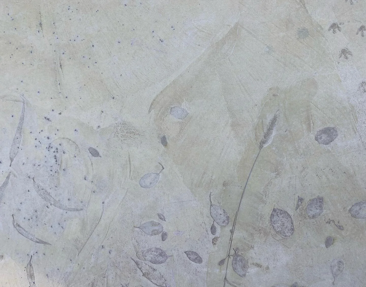 Playing like kids on this one for Deep creek childcare.