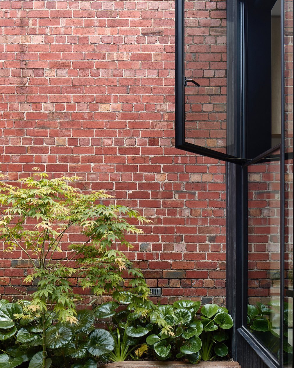 Clifton hill. 📸 @shannonmcgrath7 🔨 @kleevhomes