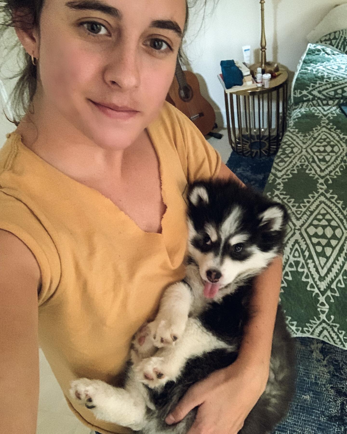 Happy Mother&rsquo;s Day to all the dog moms out there 💛
.
.
.
#dogmomlife #doglife #doglovers #mydogisfamily #dogmom #doglovers #ilovemydog #dogsofig #weratwdogs #pomskydog #digsofinsagram #loveyoufurever #cutedoggos #gooddog #dogoftheday #dog #dog
