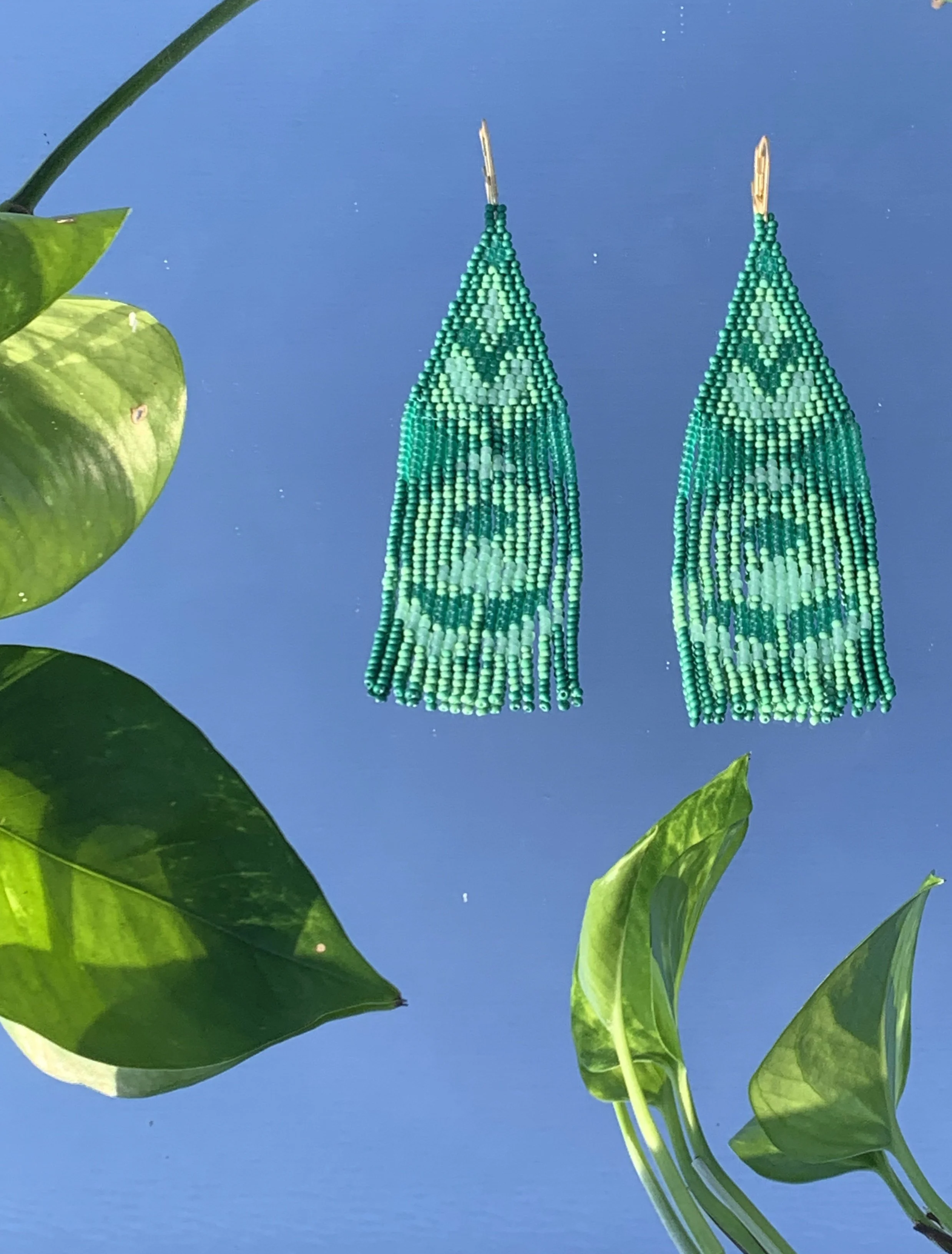 IMG_4954.jpeg