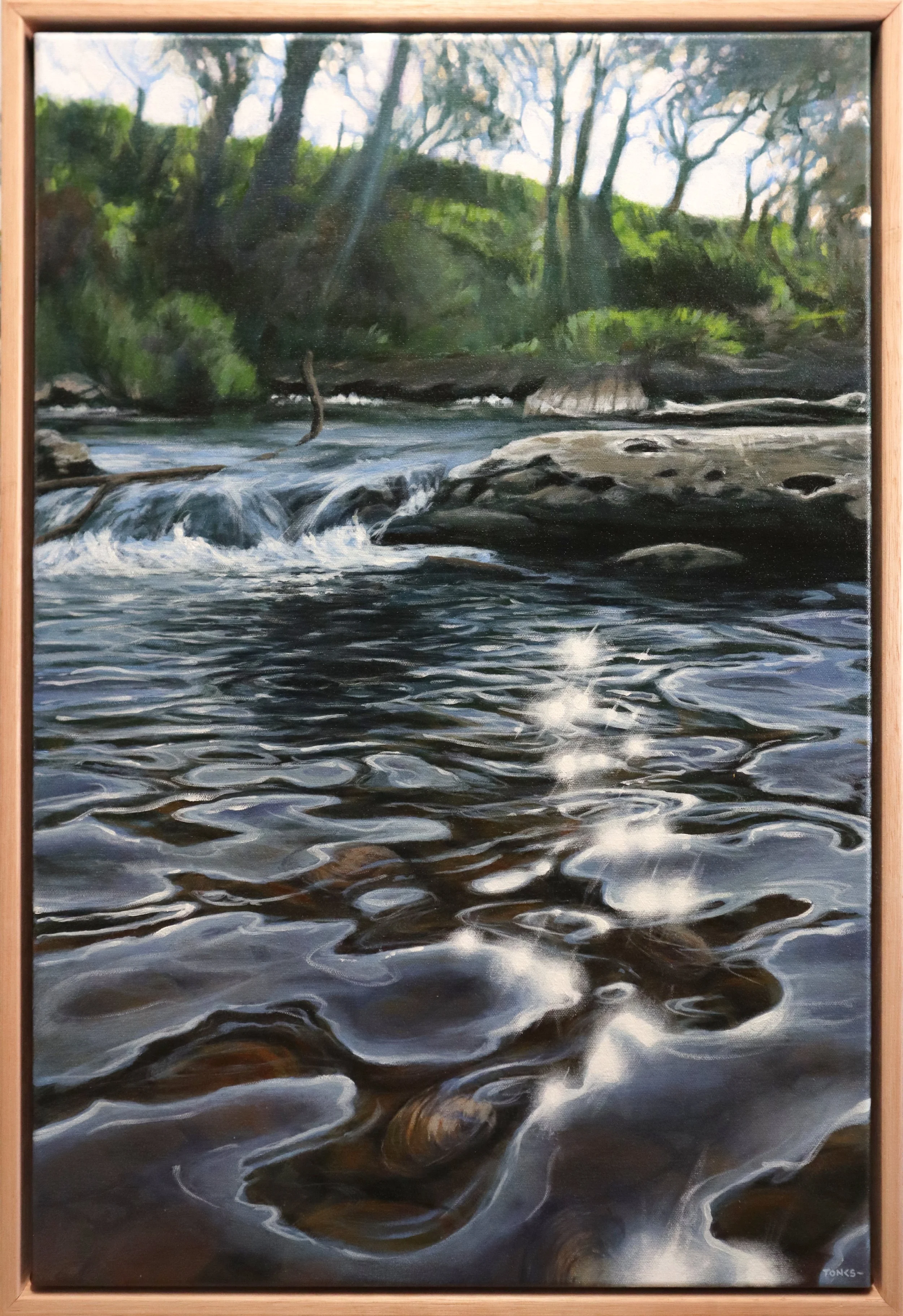 Freshwater Mussels, Merri River  Acrylic on polycotton canvas, 93 x 63 cm, 2025