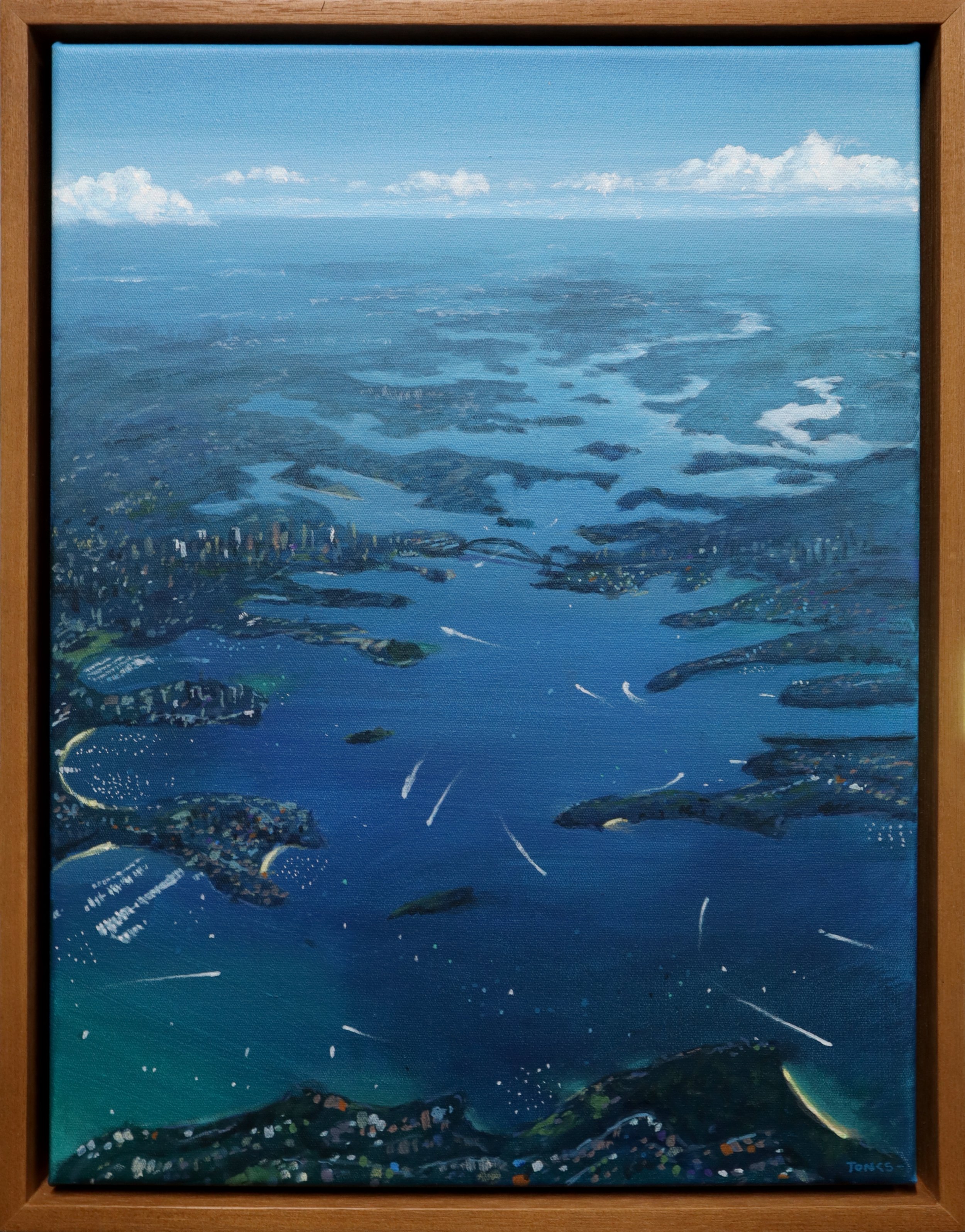  Flight into Sydney  Acrylic on polycotton canvas, 43 x 33 cm, 2025