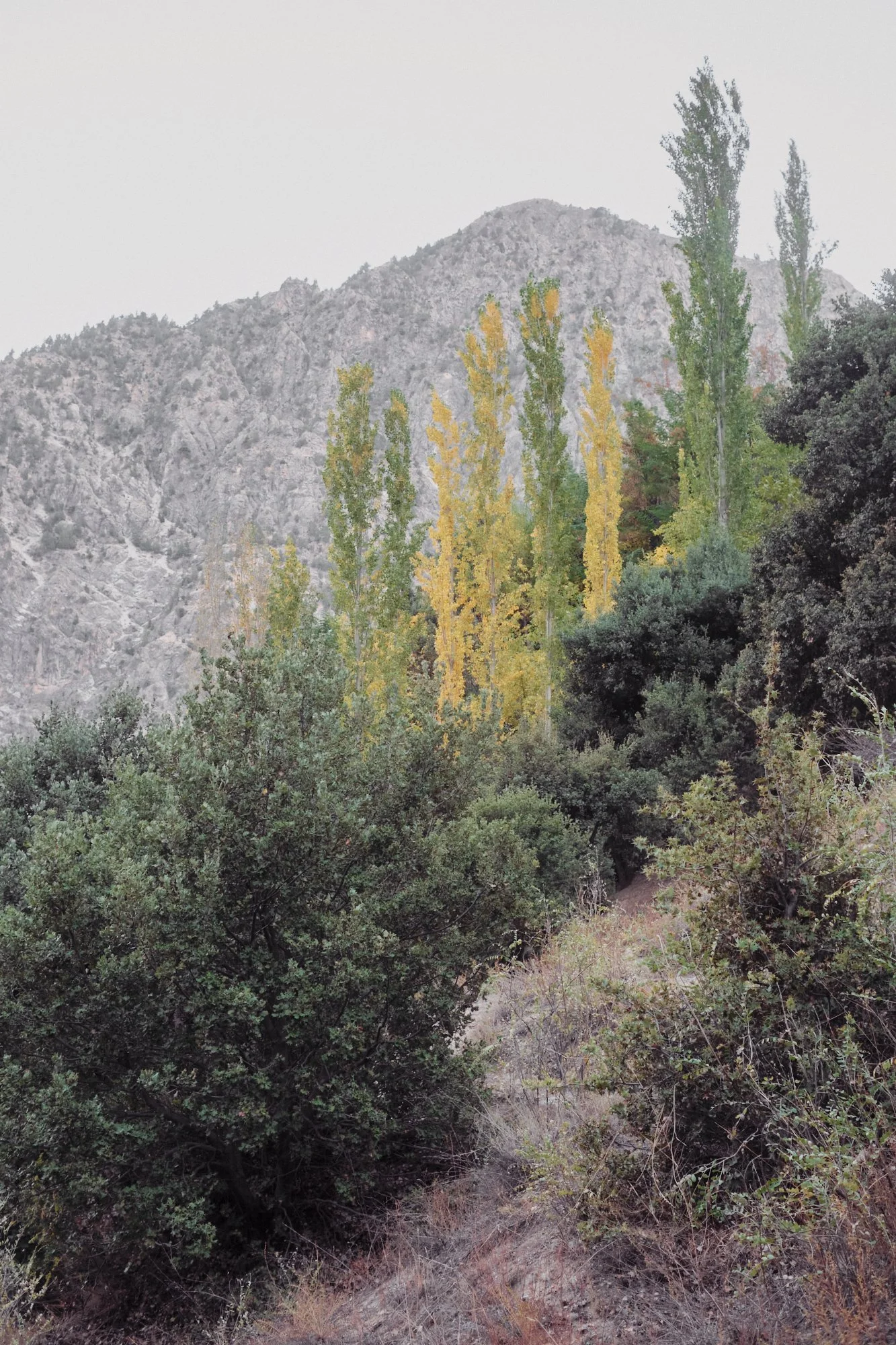 kalasha_03.jpg