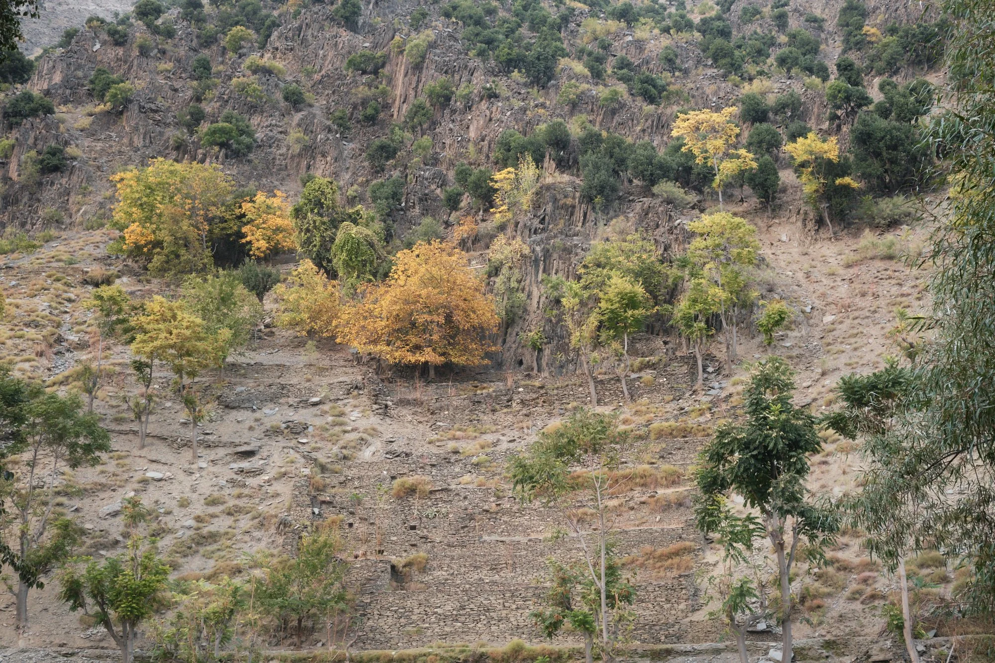 kalasha_07.jpg