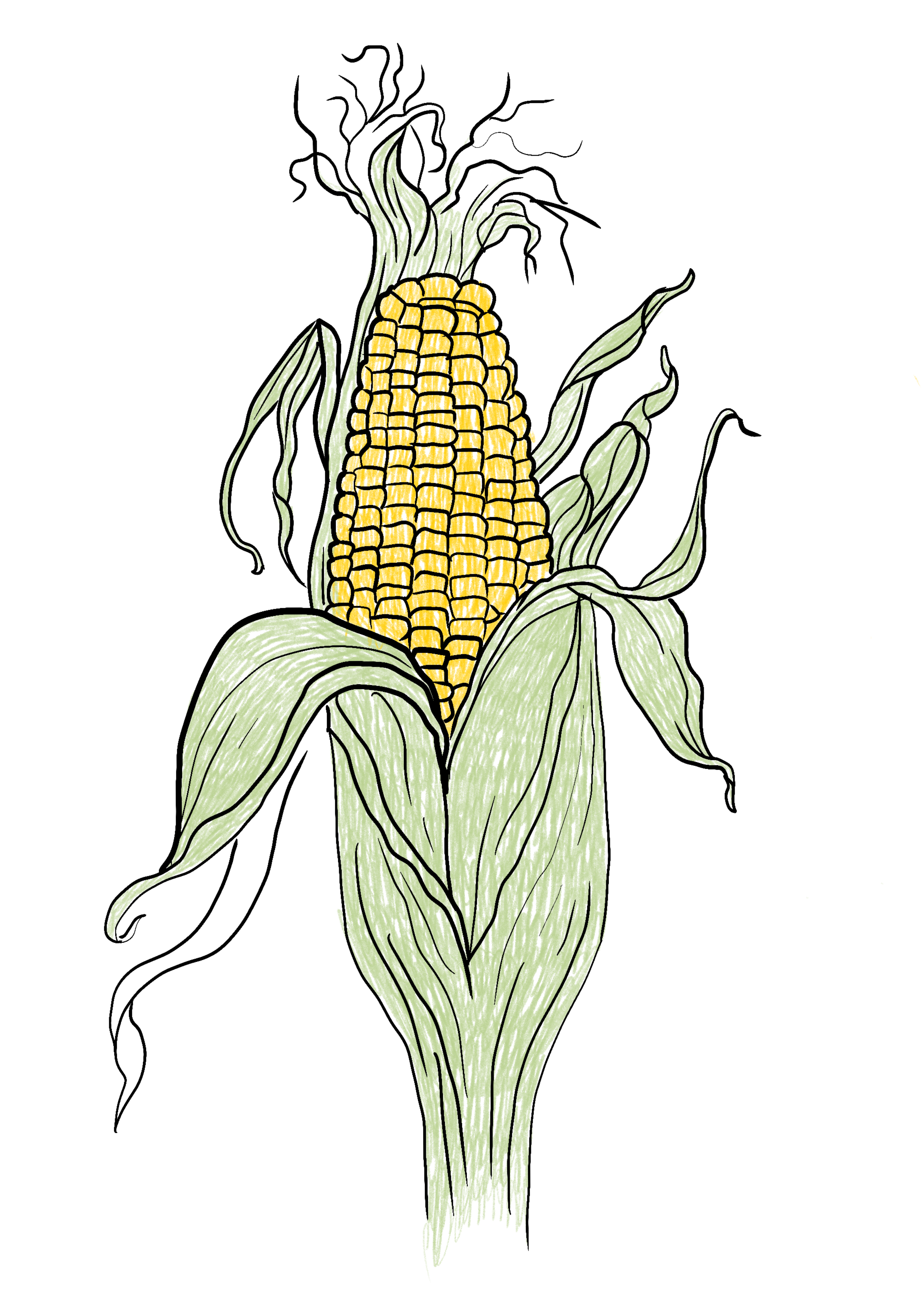 mais-png.png